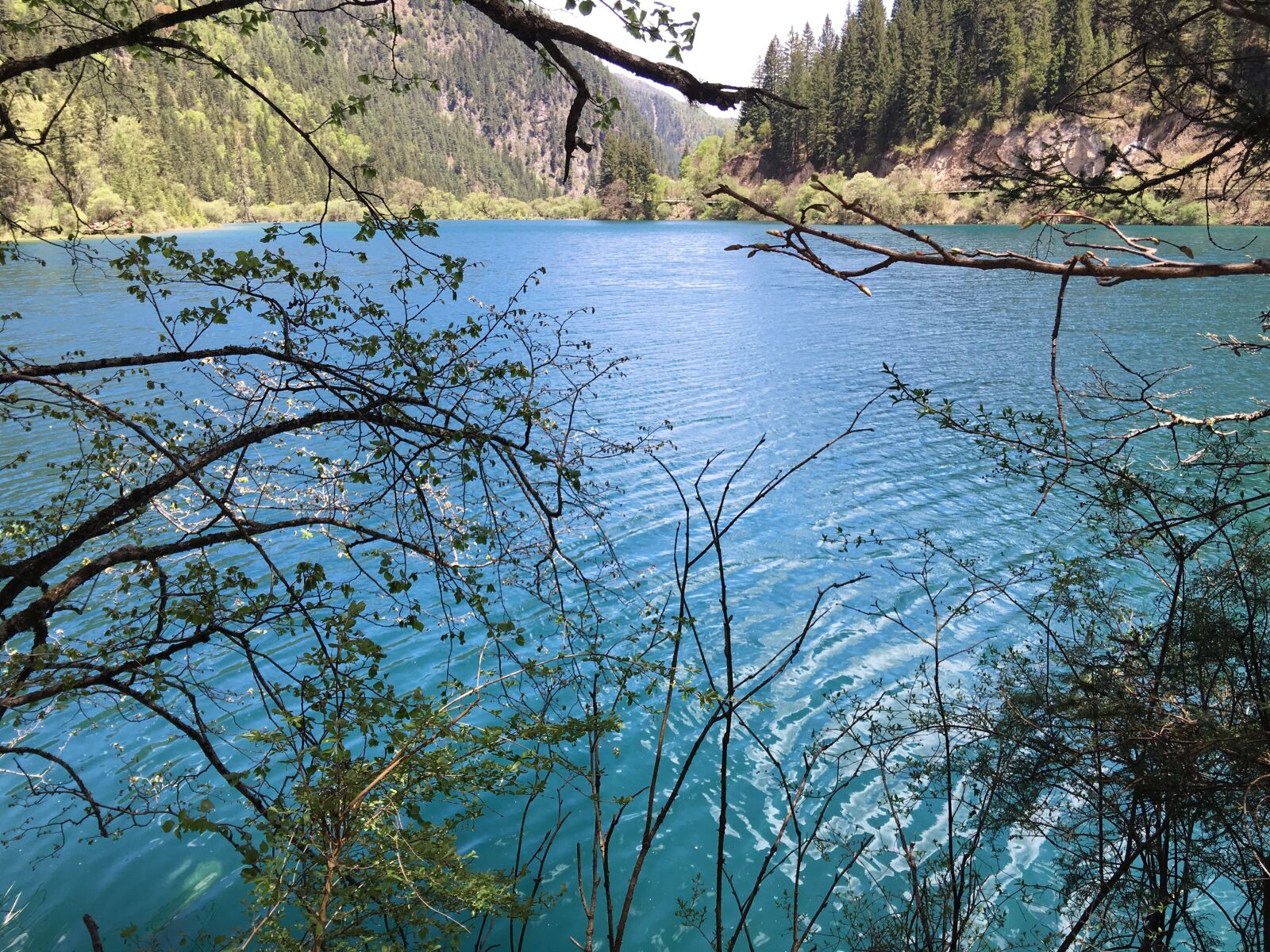 Apple iPhone 6s Plus sample photo. Jiuzhaigou, sub-sea, summer photography
