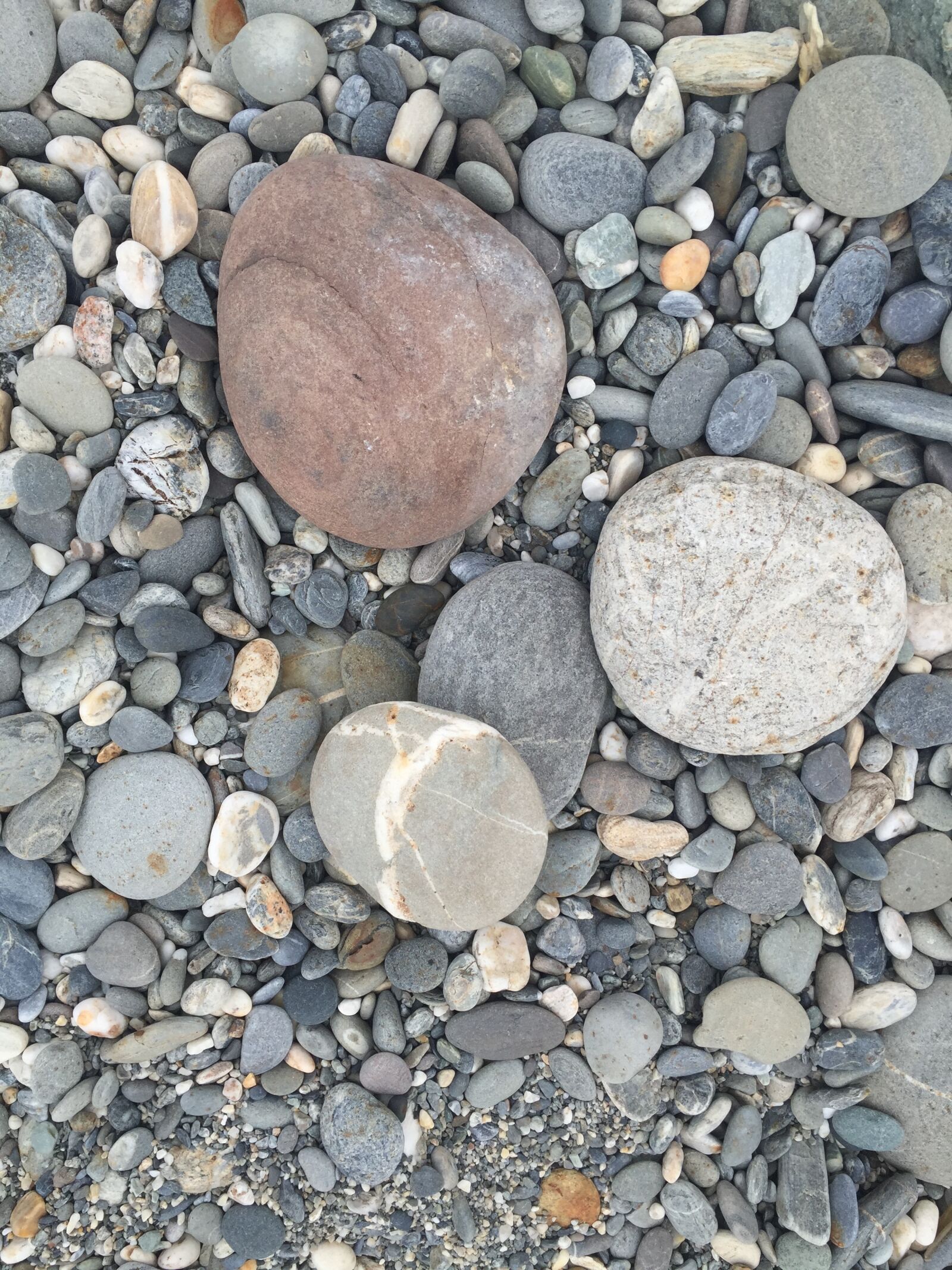 iPhone 6 back camera 4.15mm f/2.2 sample photo