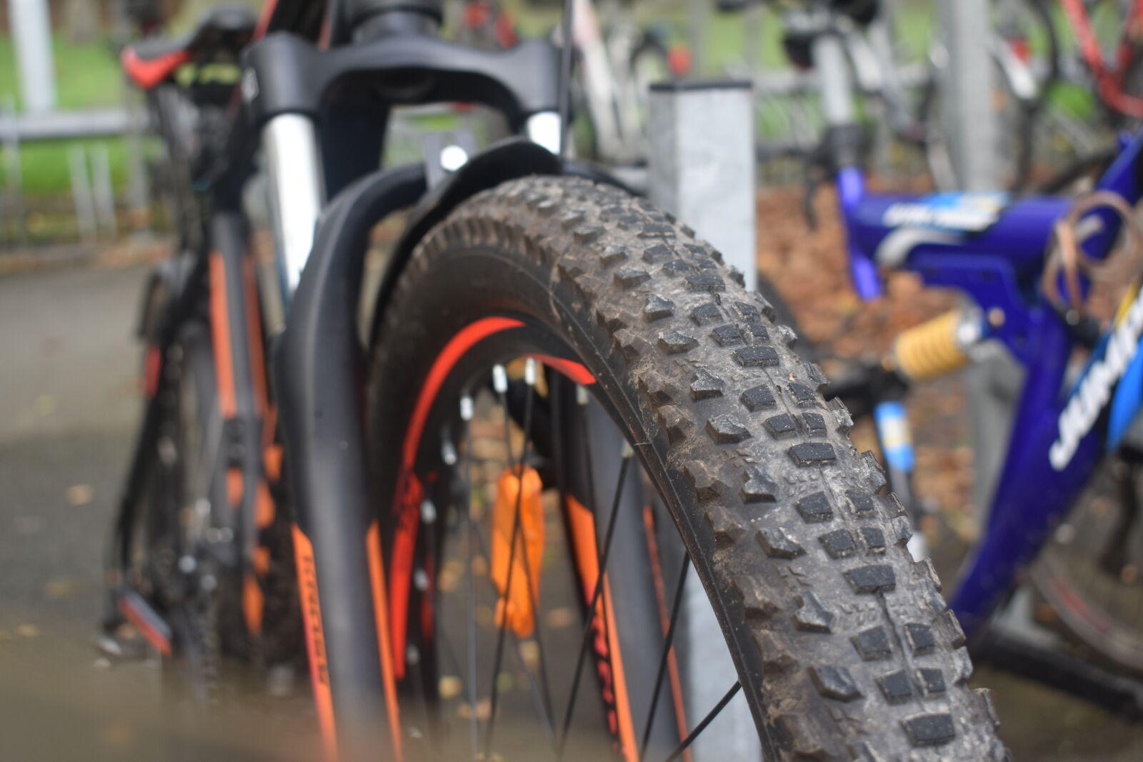 Nikon D3400 sample photo. Bicycle, big, wheel, bike photography