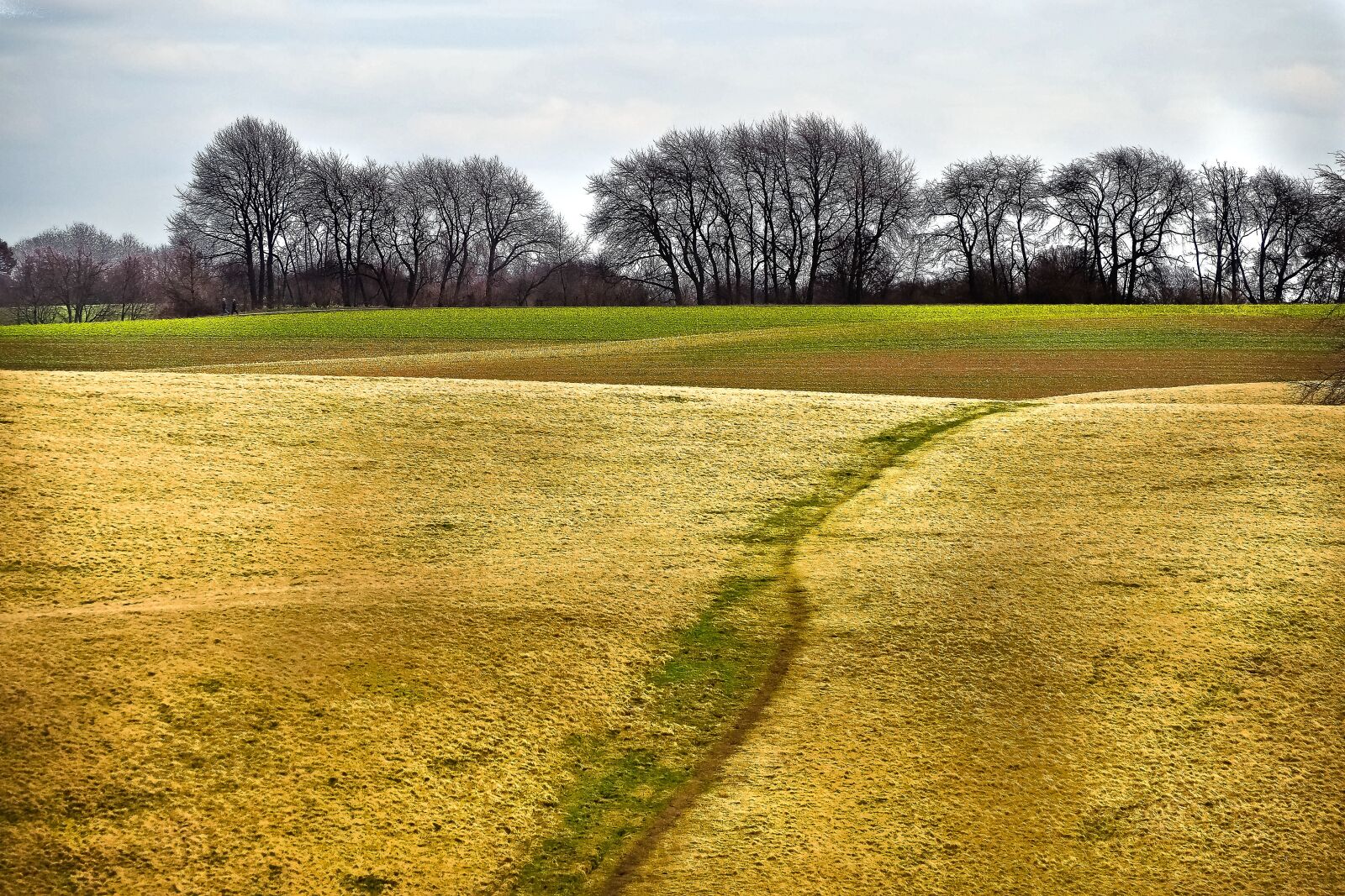 Olympus OM-D E-M10 sample photo. Landscape, nature, meadow photography