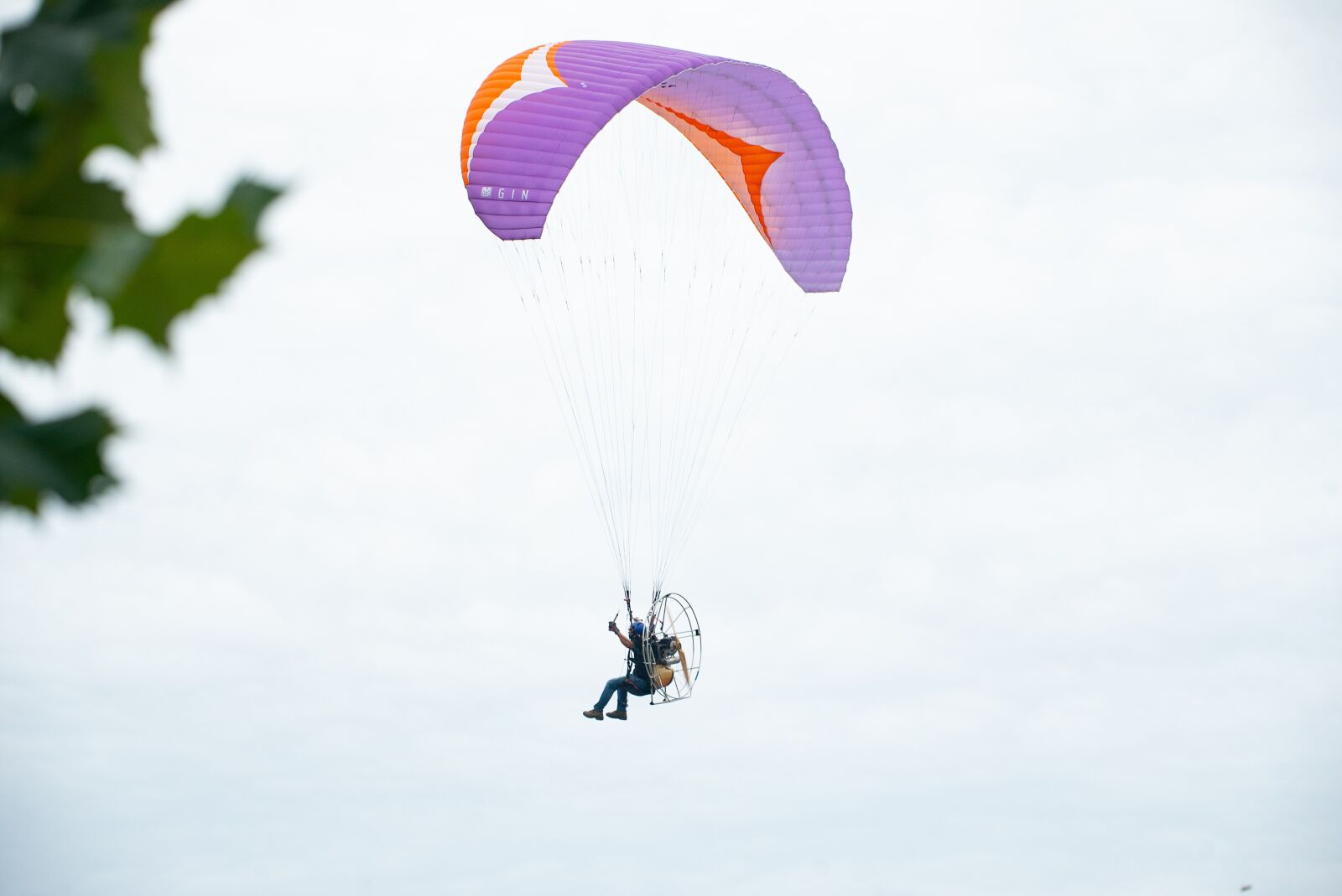 Sony a7S II sample photo. Sky, pink, fly photography