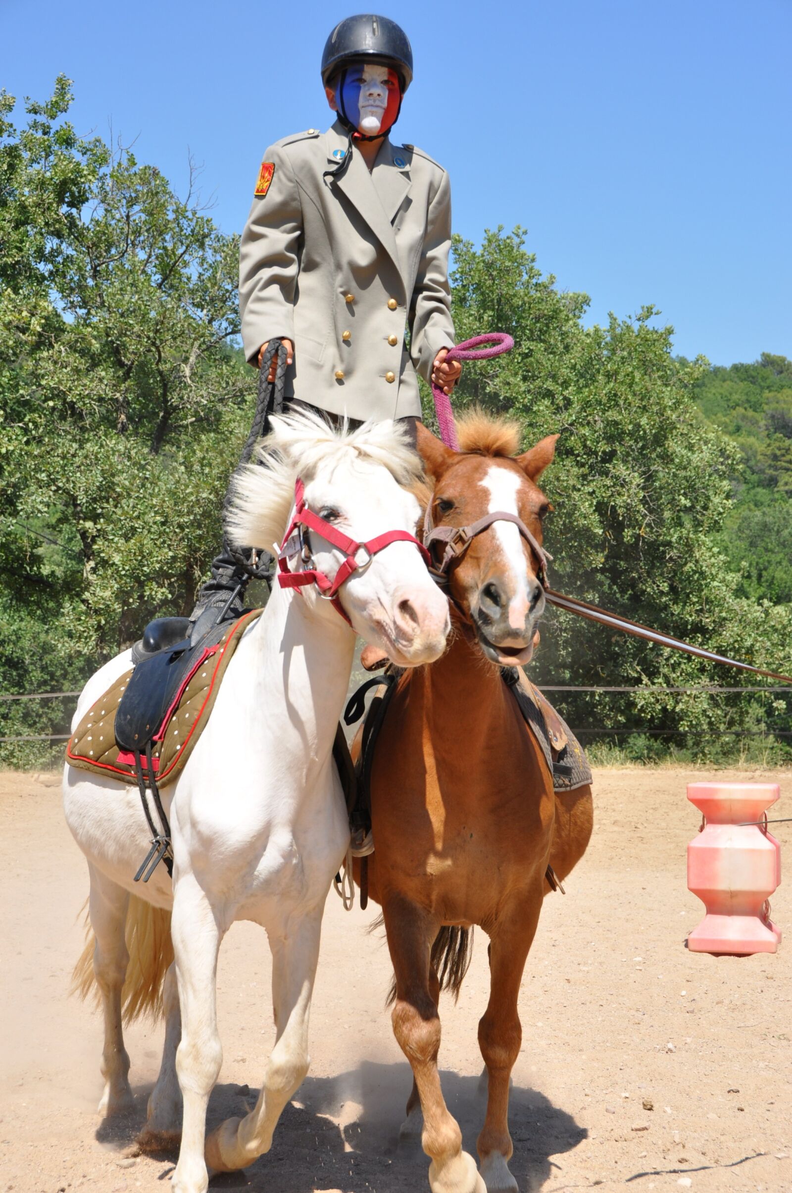 Nikon D90 sample photo. Horses, animals, show photography