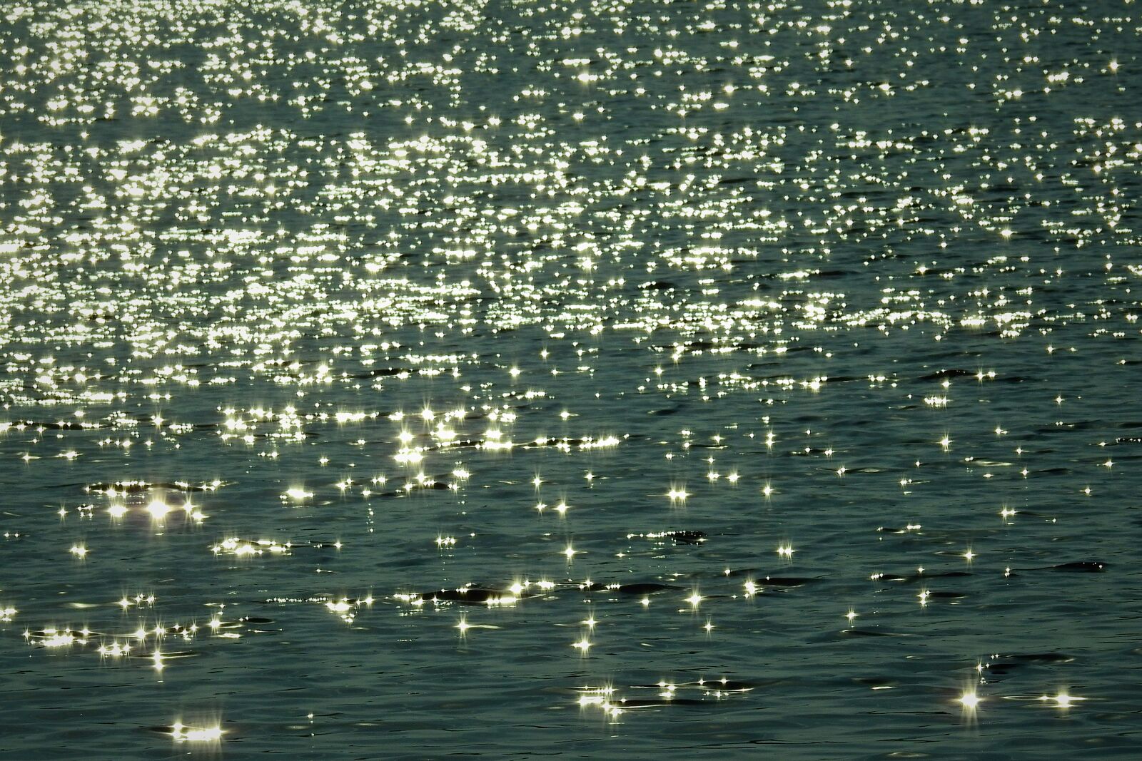 Nikon Coolpix P900 sample photo. Lake, the reflection of photography