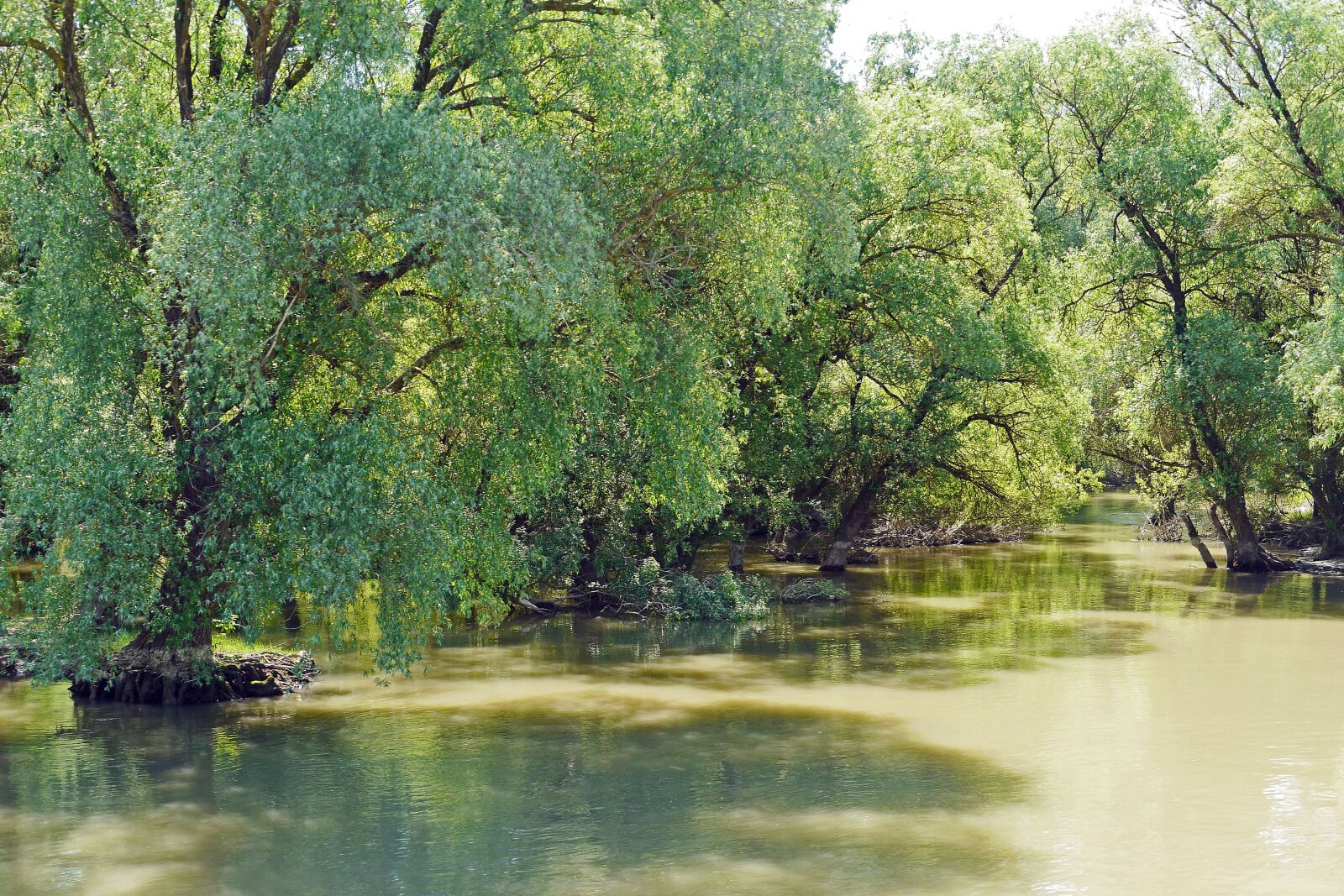Panasonic Lumix DMC-GH3 sample photo. Romania, danube delta, watercourse photography