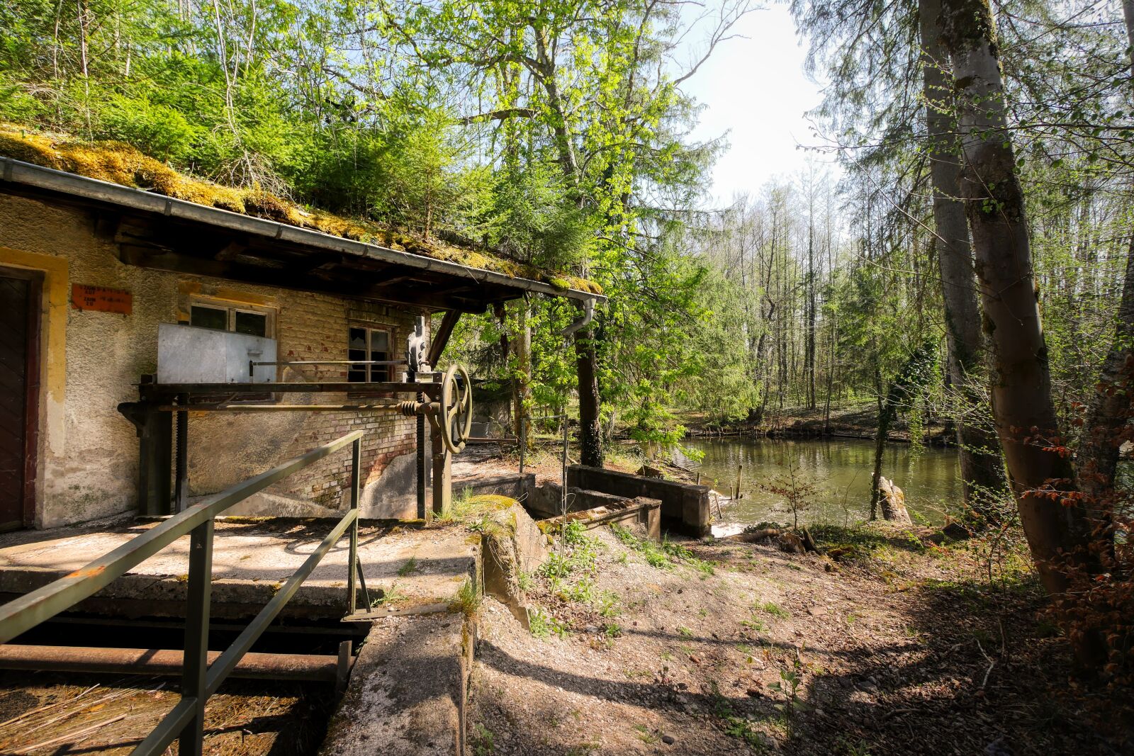 Panasonic Lumix DMC-GX8 sample photo. Hut, forest, glade photography