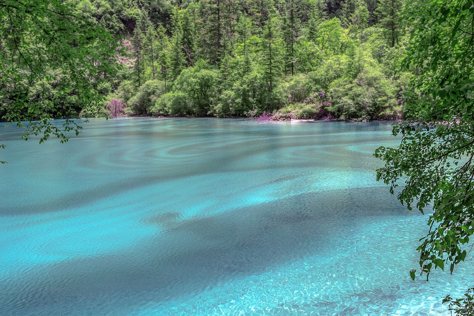 Canon EOS 80D sample photo. Jiuzhaigou, water, heaven on photography