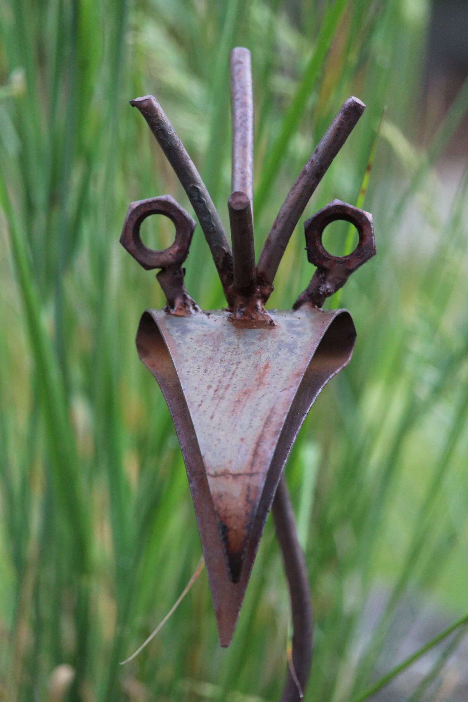 Canon EOS 1200D (EOS Rebel T5 / EOS Kiss X70 / EOS Hi) sample photo. Art, metal, rust photography