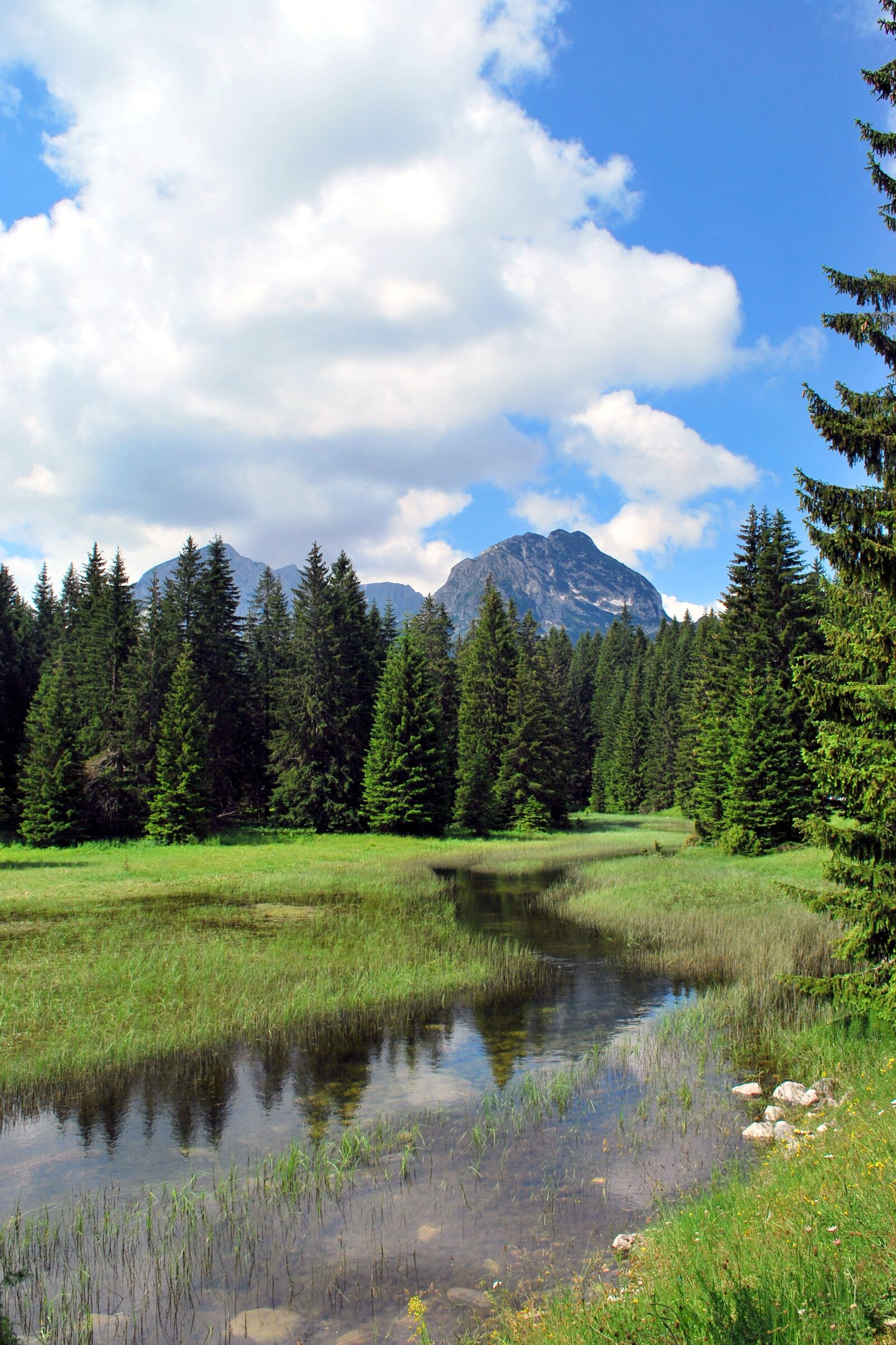 Nikon D60 sample photo. Clouds, mountains, landscape photography