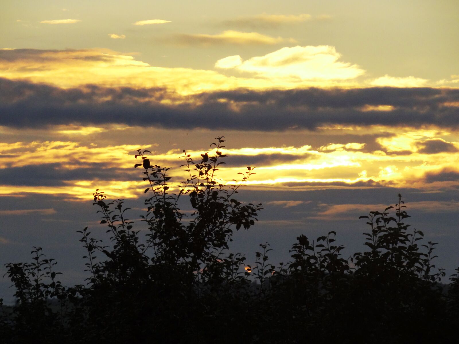 Sony Cyber-shot DSC-HX100V sample photo. Nature, sky, clouds photography