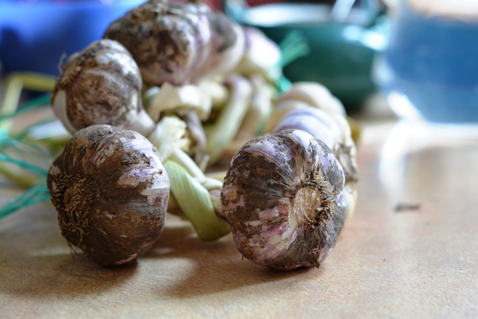 Nikon D5200 sample photo. Garlic, spices, spice photography
