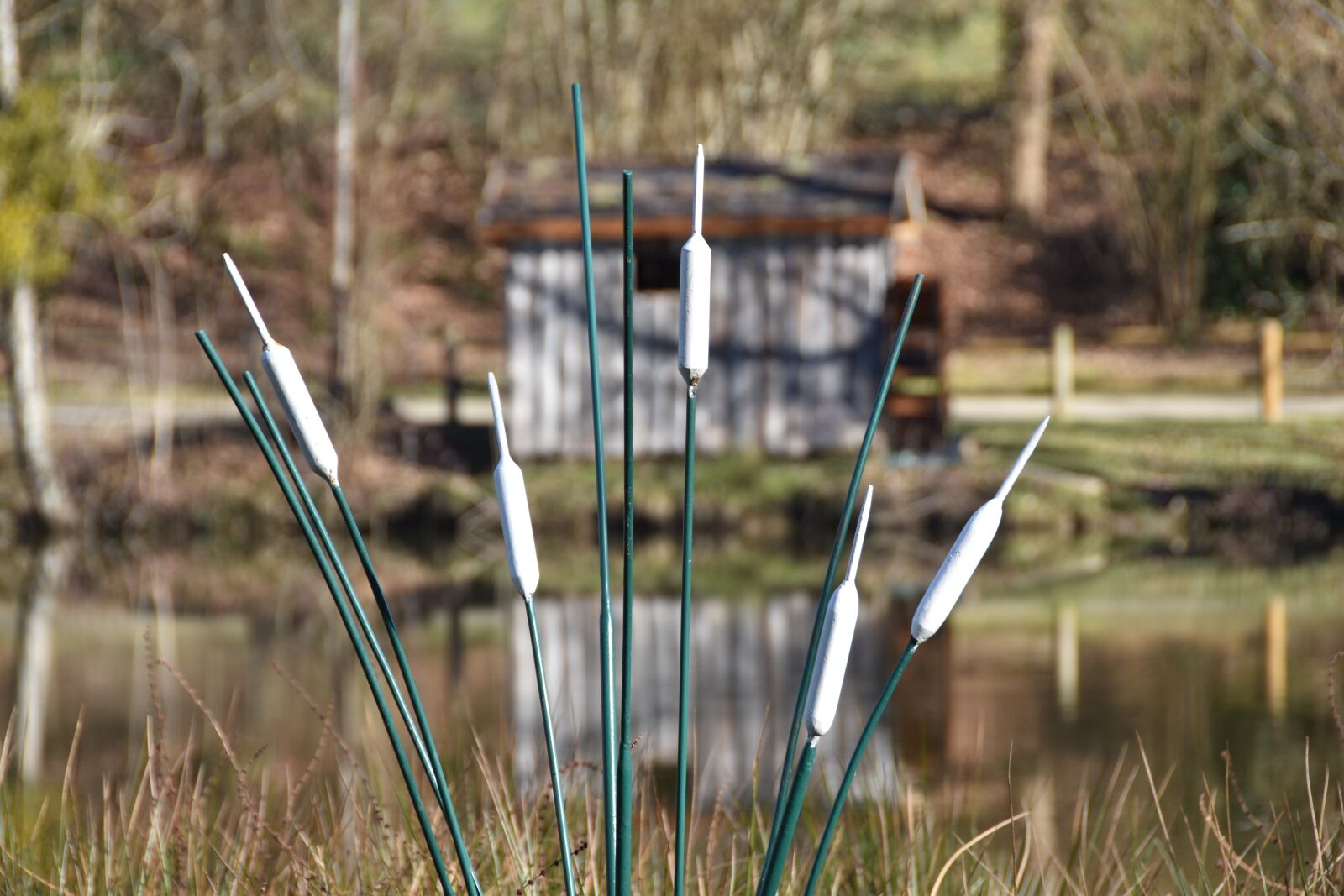 Nikon D5600 sample photo. Porcelain, reed, water photography
