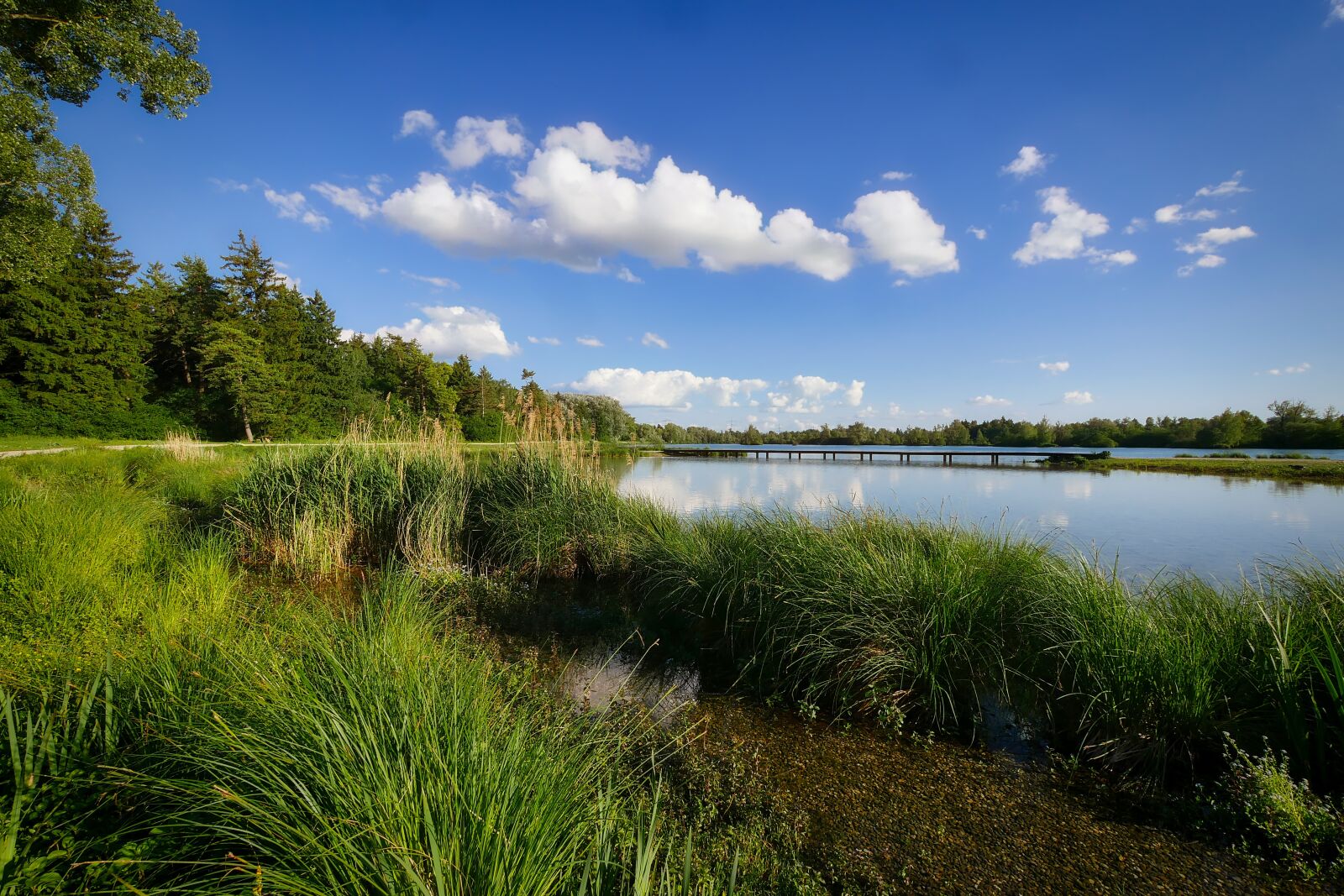 Panasonic Lumix DMC-GX8 sample photo. Nature, waters, panorama photography