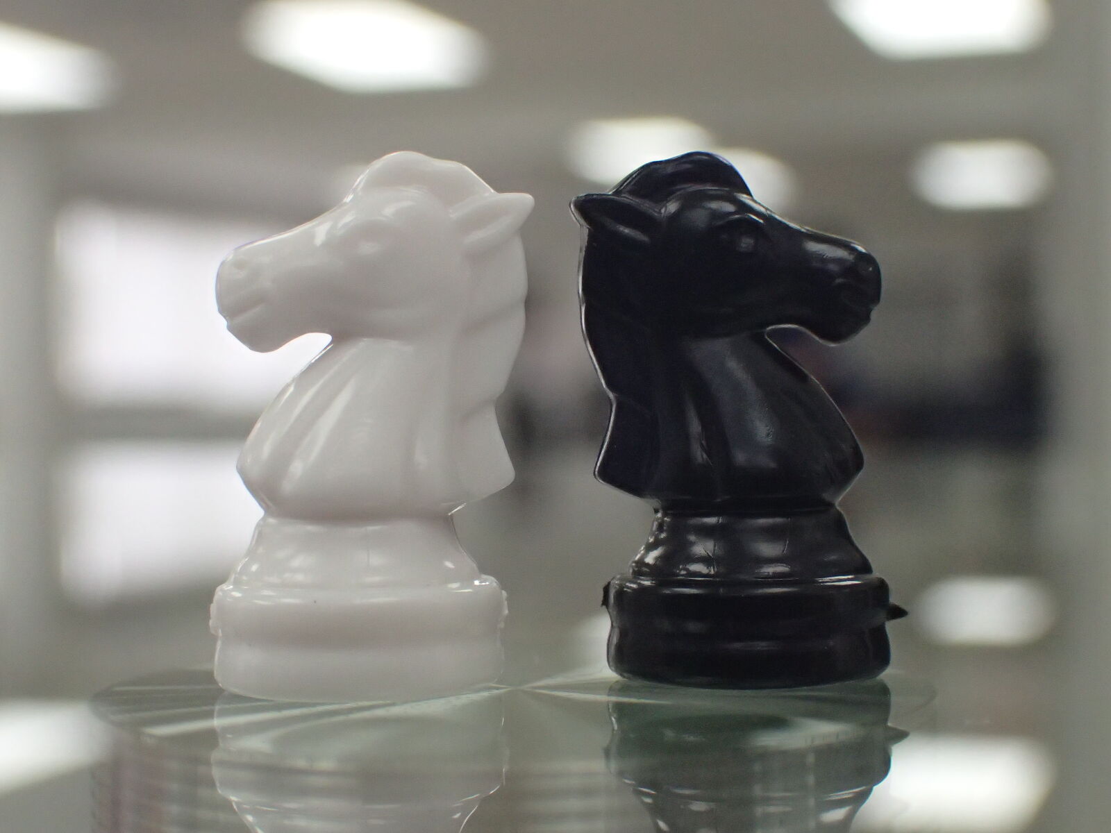 Olympus TG-4 sample photo