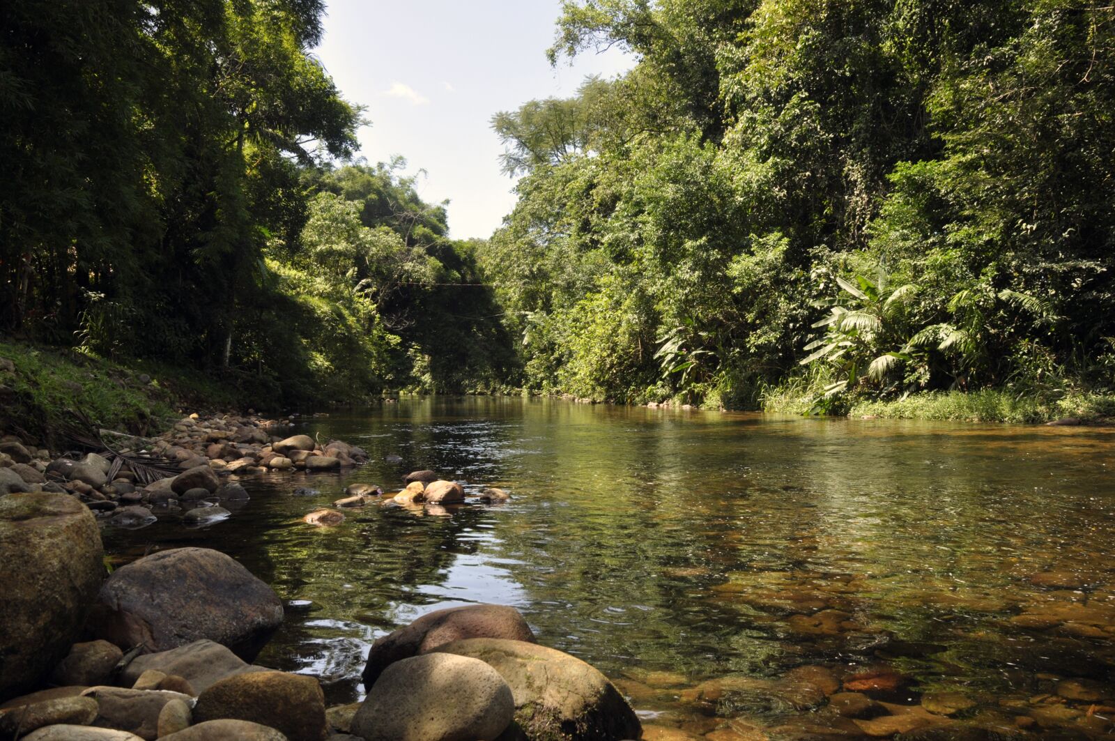 Nikon D5000 sample photo. Nature, rio, water photography