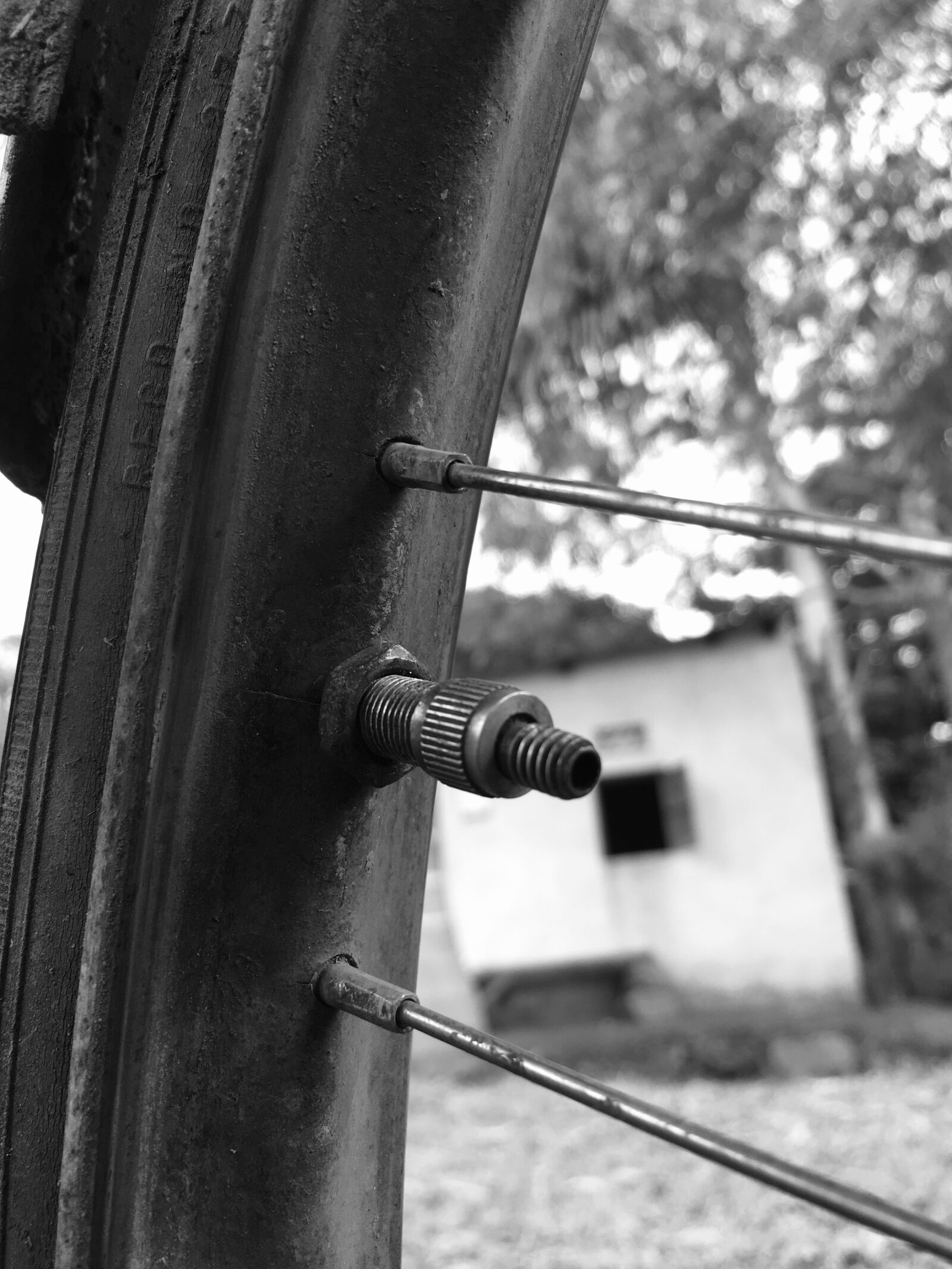 iPhone 6s back camera 4.15mm f/2.2 sample photo. Valve, nozzle, reem and photography