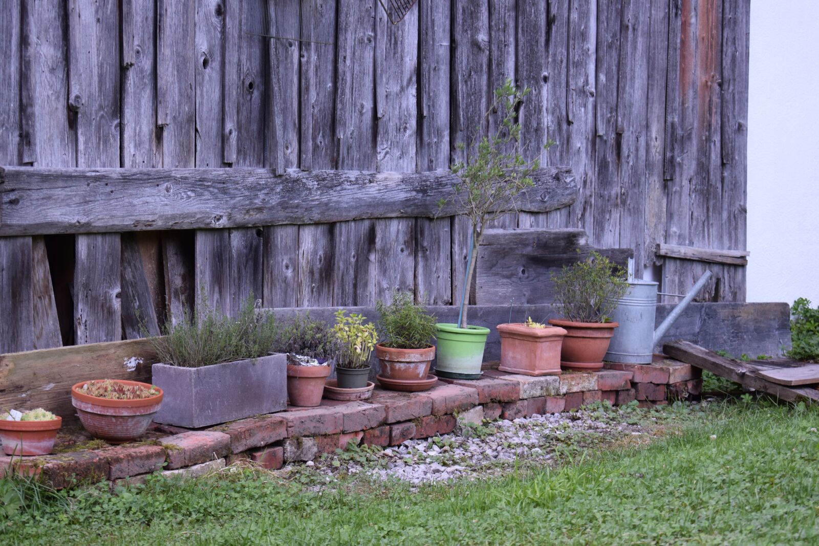 Nikon D3300 sample photo. Yard, garden, potted plants photography