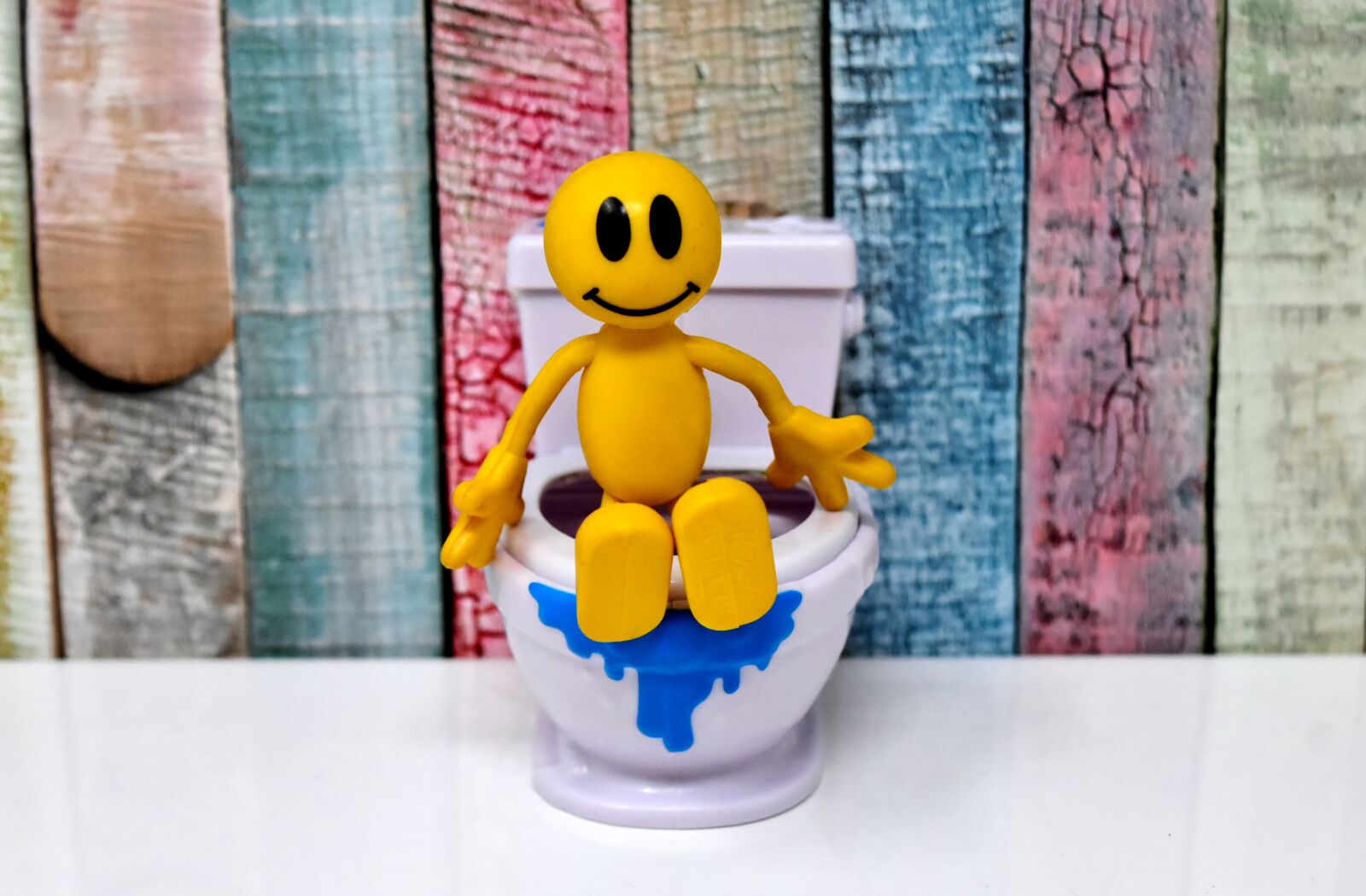 Nikon D7200 sample photo. Toilet, smiley, figure photography