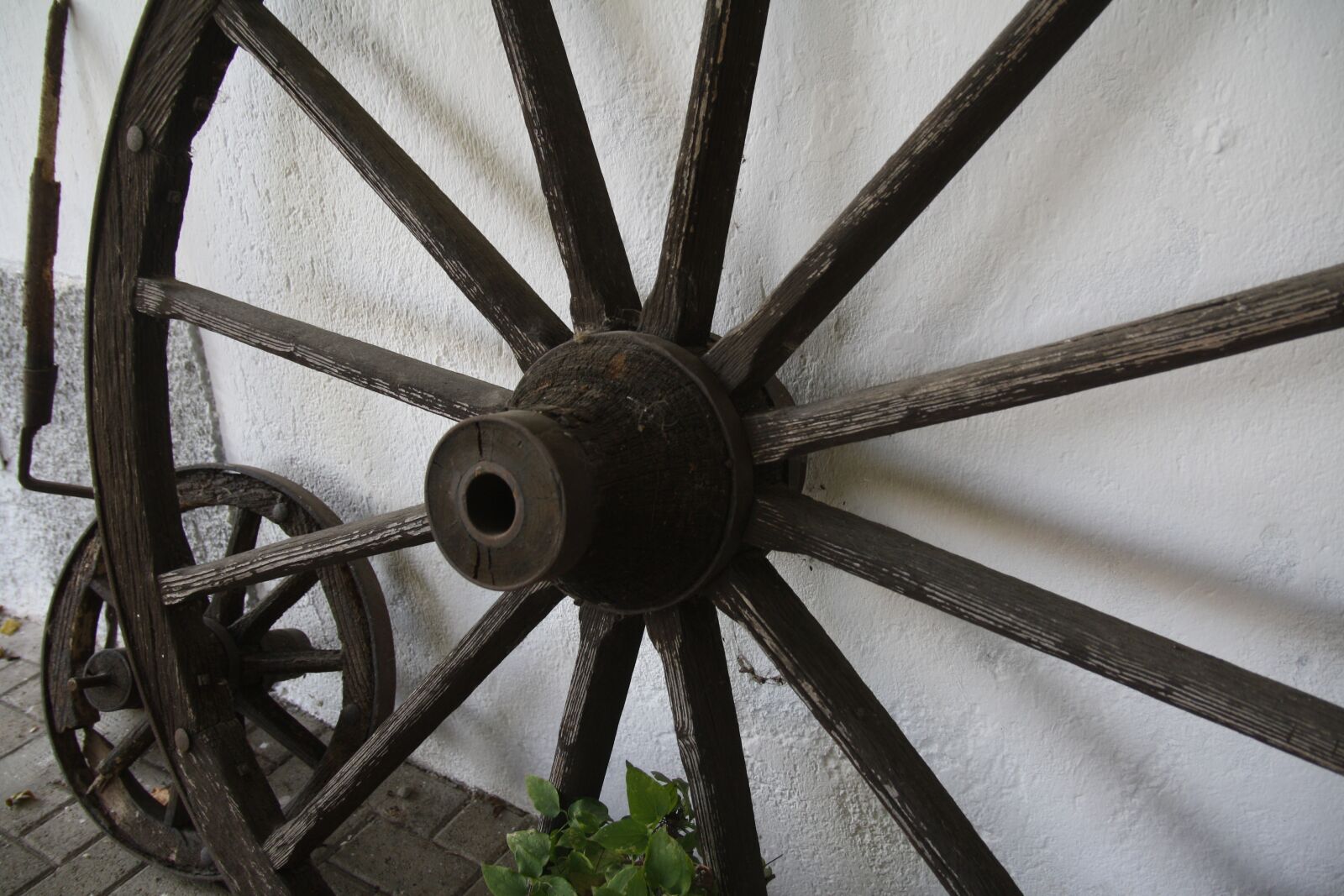 Canon EOS 1000D (EOS Digital Rebel XS / EOS Kiss F) sample photo. Wheels, wood, calash photography
