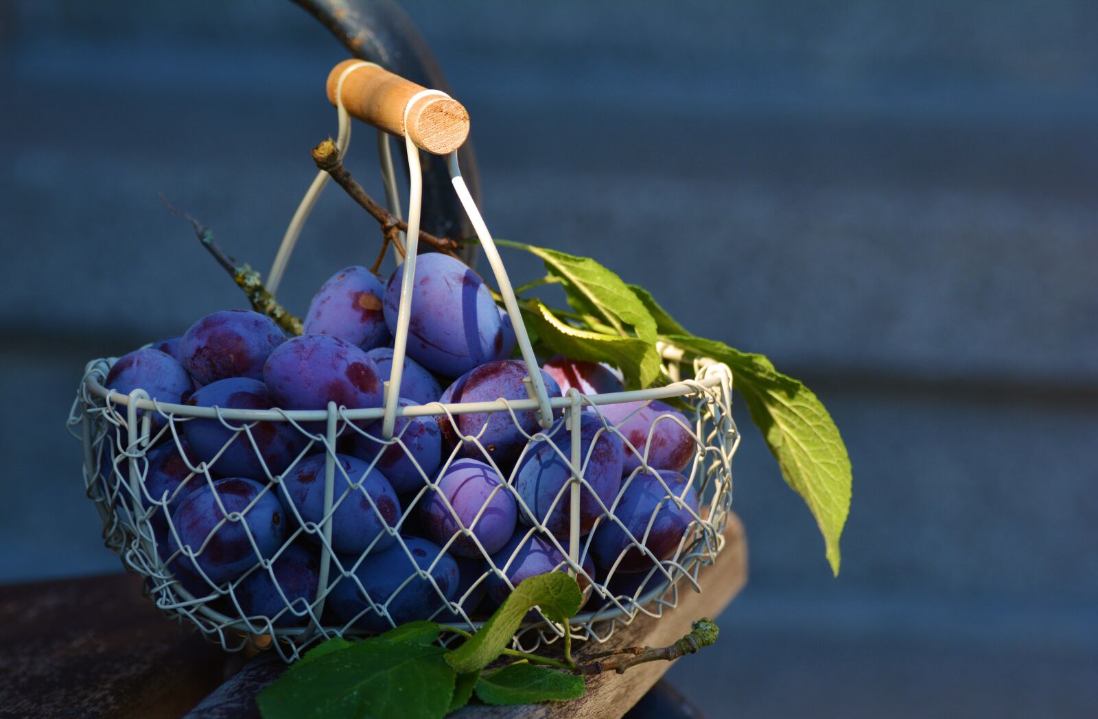 Nikon D5200 sample photo. Plums, fruit, fruit basket photography