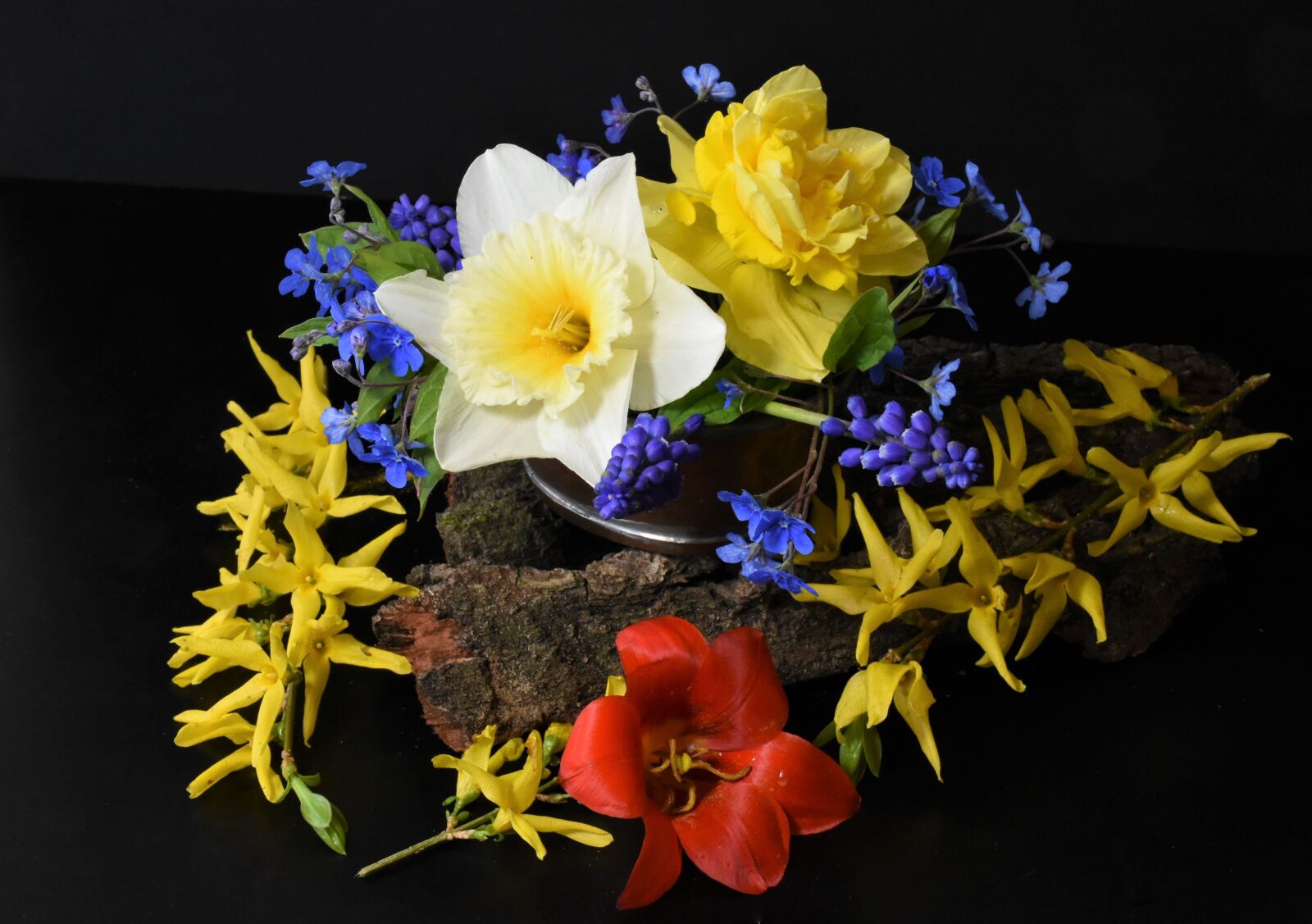 Nikon D7200 sample photo. Forget me not, tulips photography