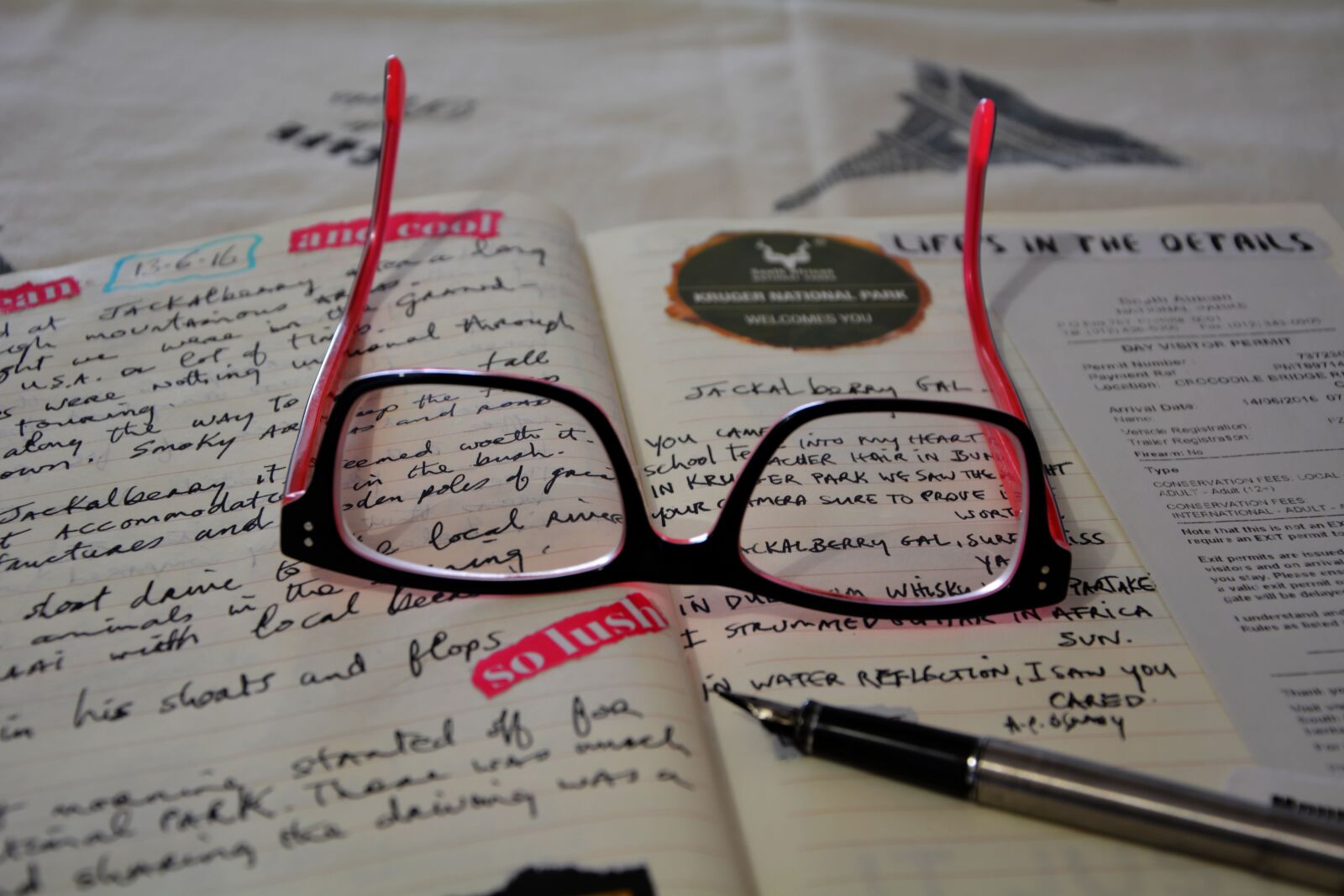 Nikon D5200 sample photo. Visual diary, keeping records photography
