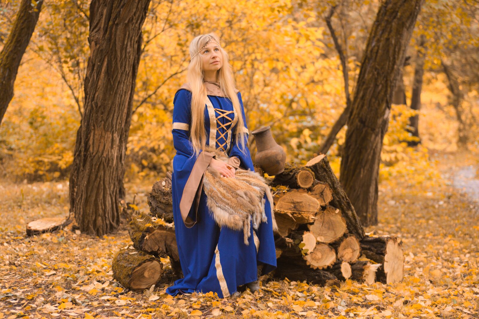 Nikon D7100 sample photo. The middle ages, autumn photography