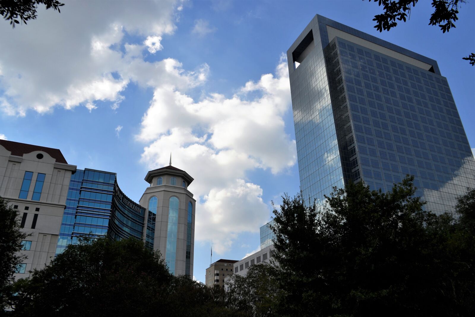Nikon D3100 sample photo. Business district, houston texas photography