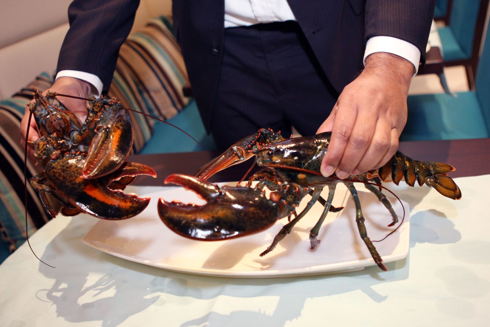 Canon EOS-1D Mark III sample photo. Lobster live in restaurant photography