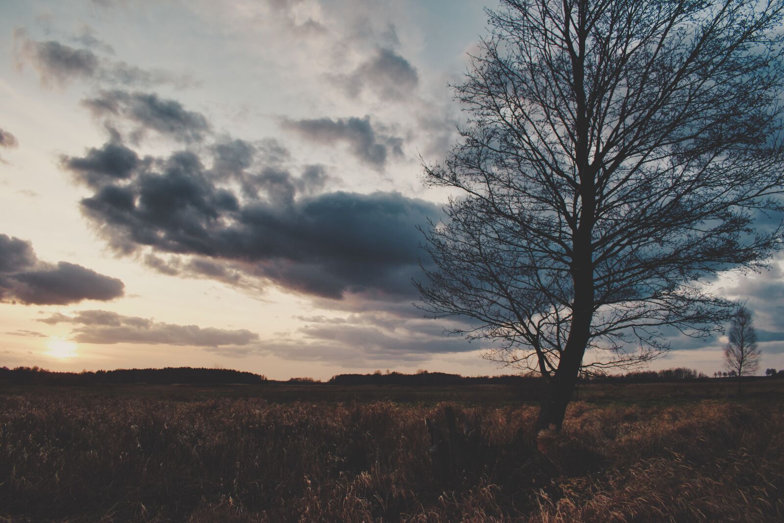 Nikon D5600 sample photo. Sunset, the sun, nature photography