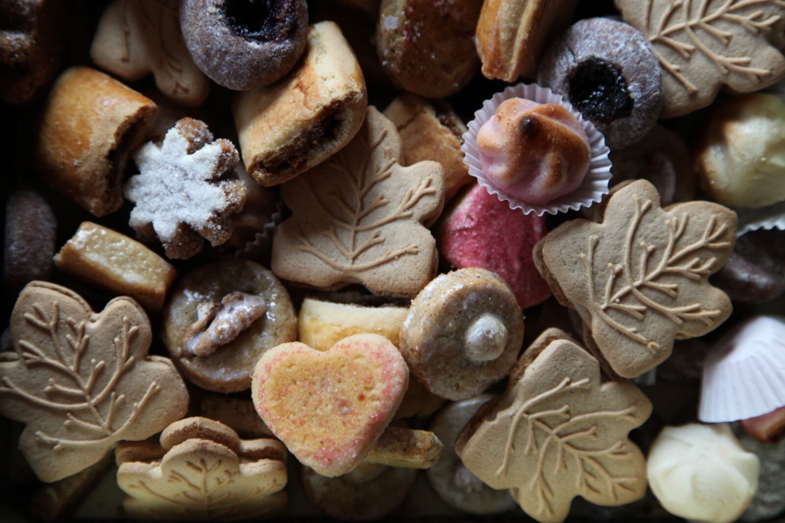 Canon EOS 5D Mark II sample photo. Christmas, cake, cookie photography