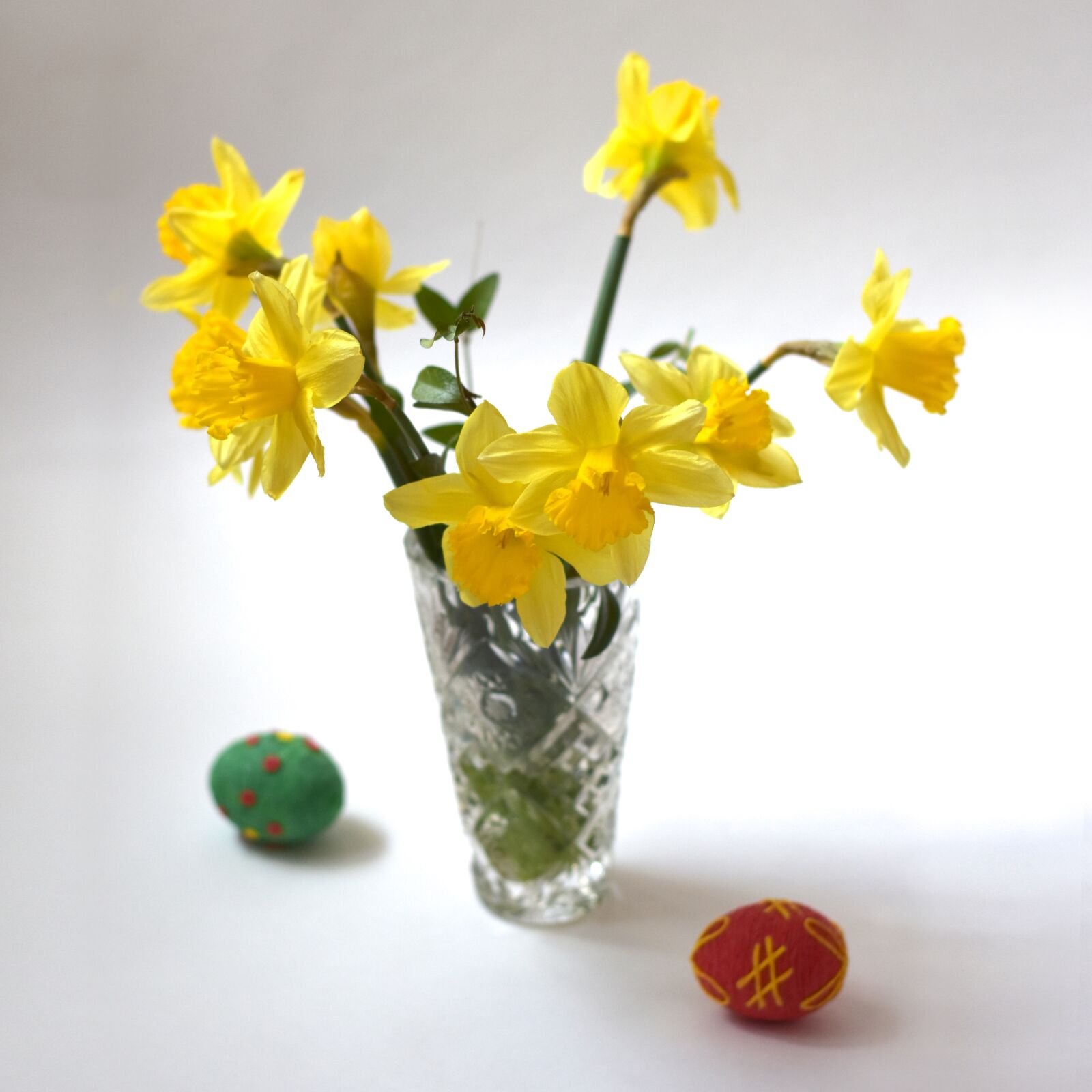 Nikon D3400 sample photo. Daffodils, daffodil, flower photography