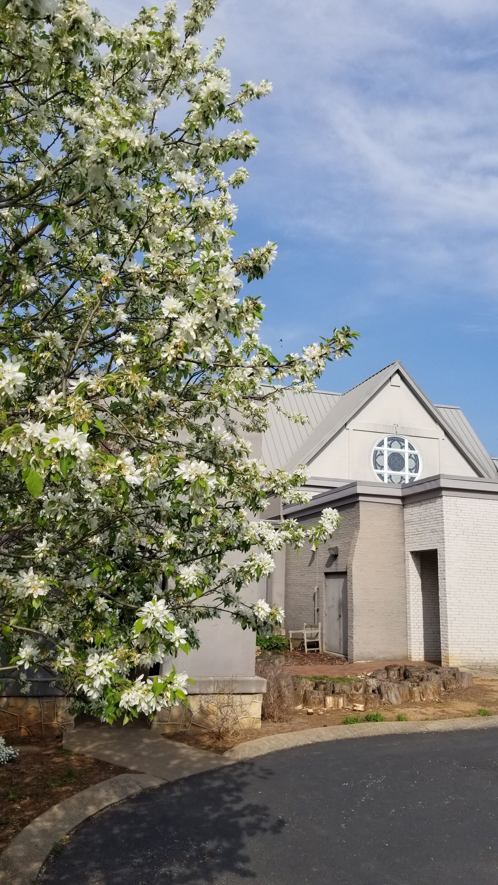 Samsung Galaxy S8+ sample photo. Flower, garden, church photography