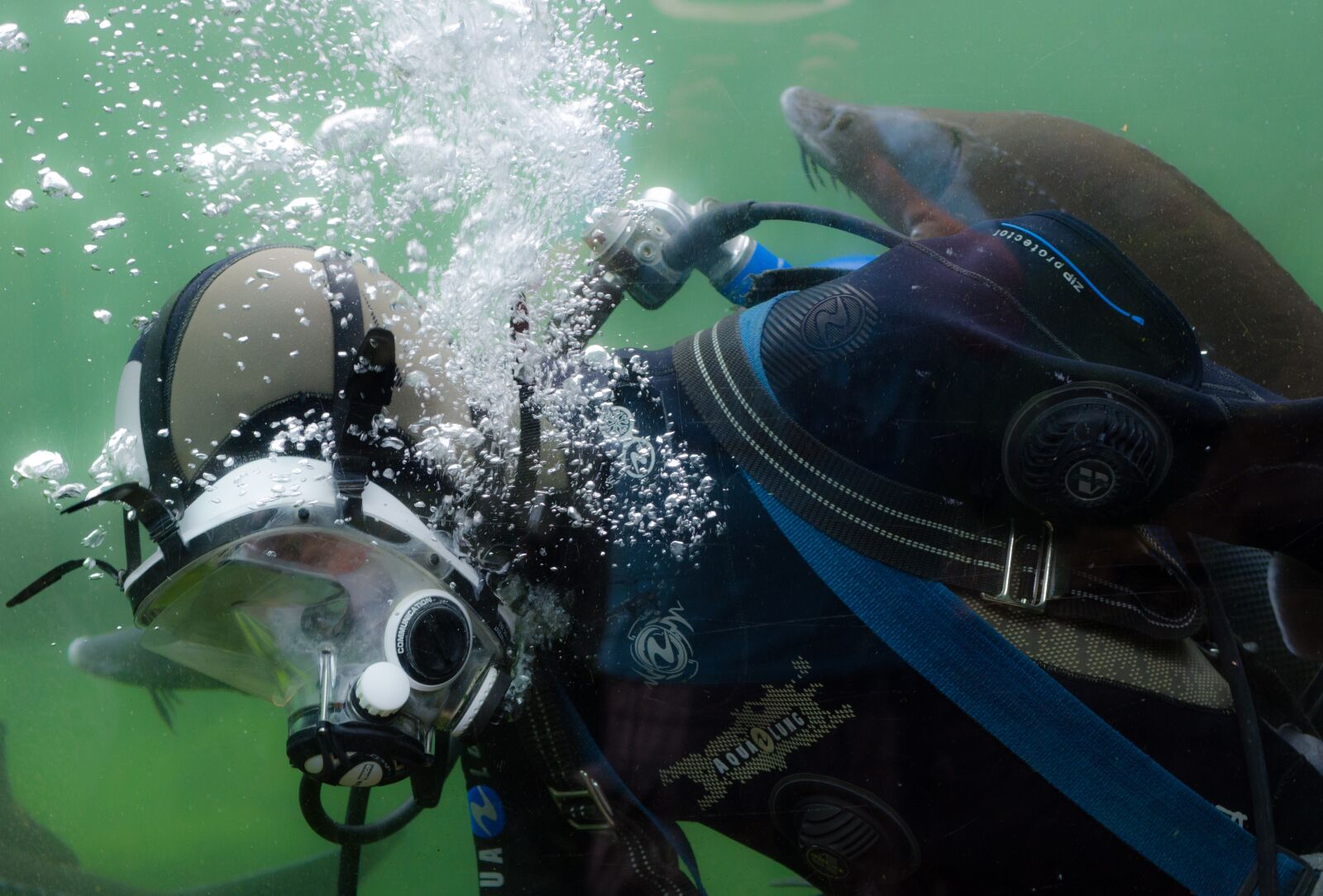 Nikon D7000 sample photo. Diver, diving, scuba photography