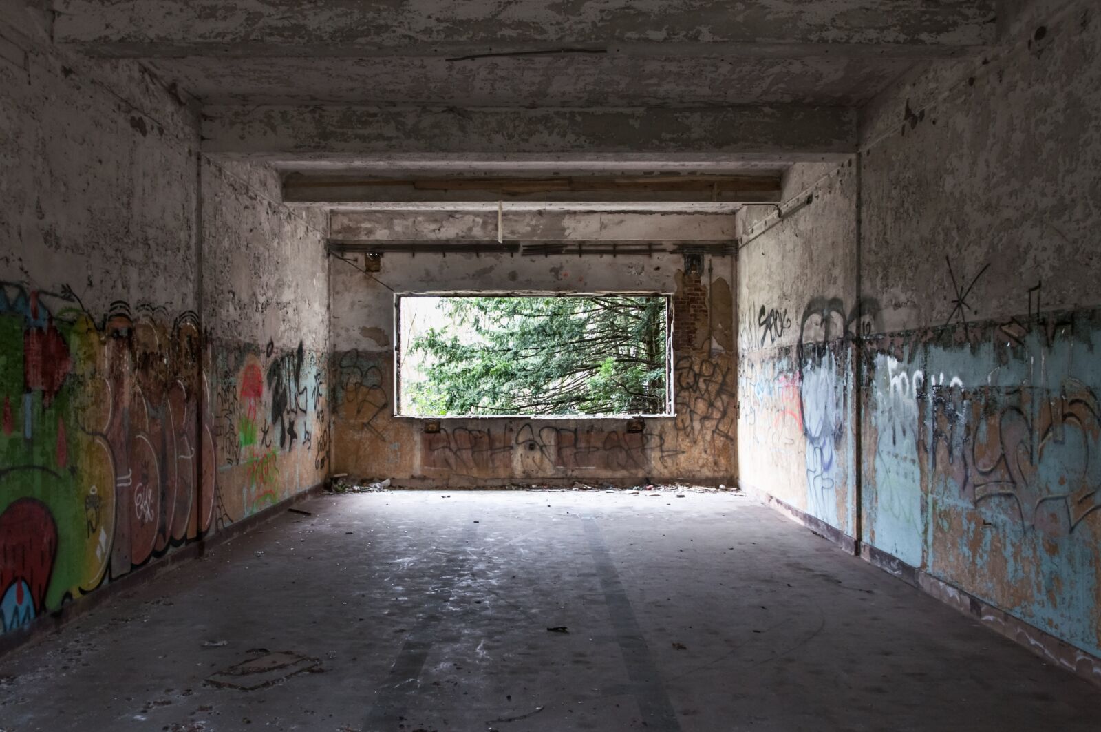 Nikon D90 sample photo. Background, building, leave photography