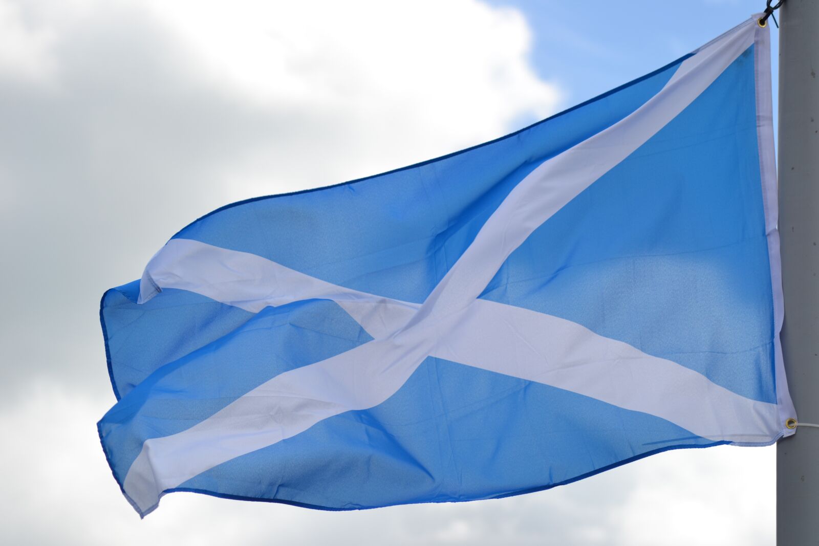 Nikon D3100 sample photo. Flag, scottish, scotland photography