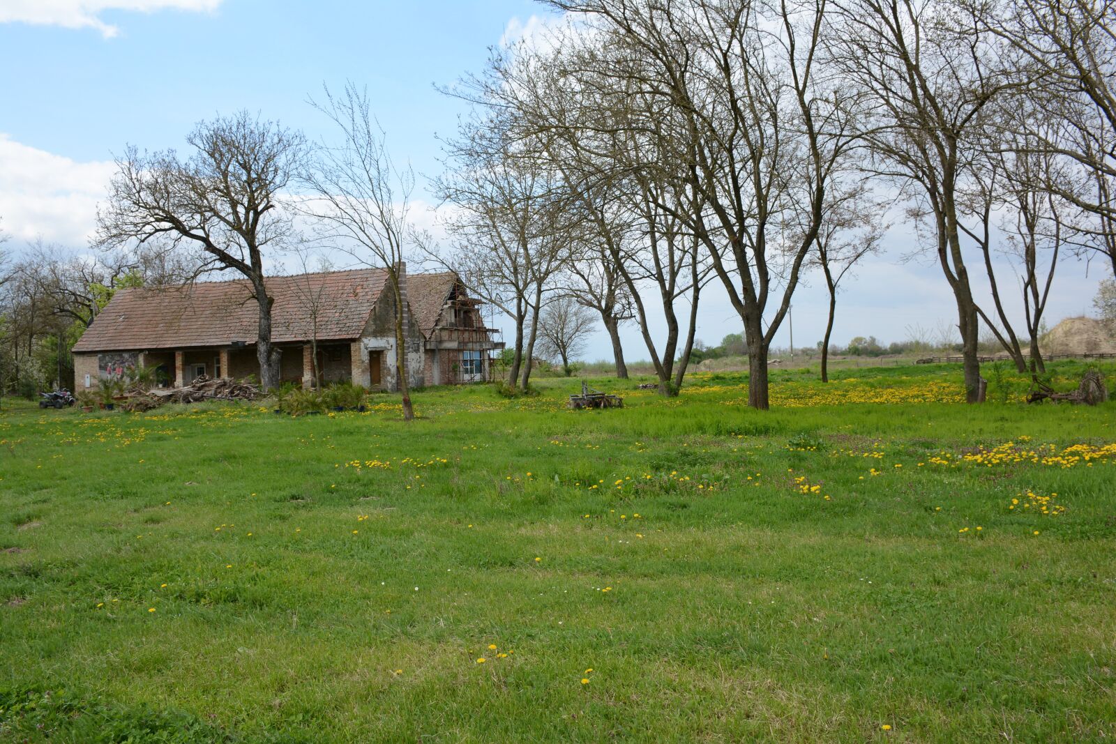 Nikon D7100 sample photo. Village, nature, grass photography
