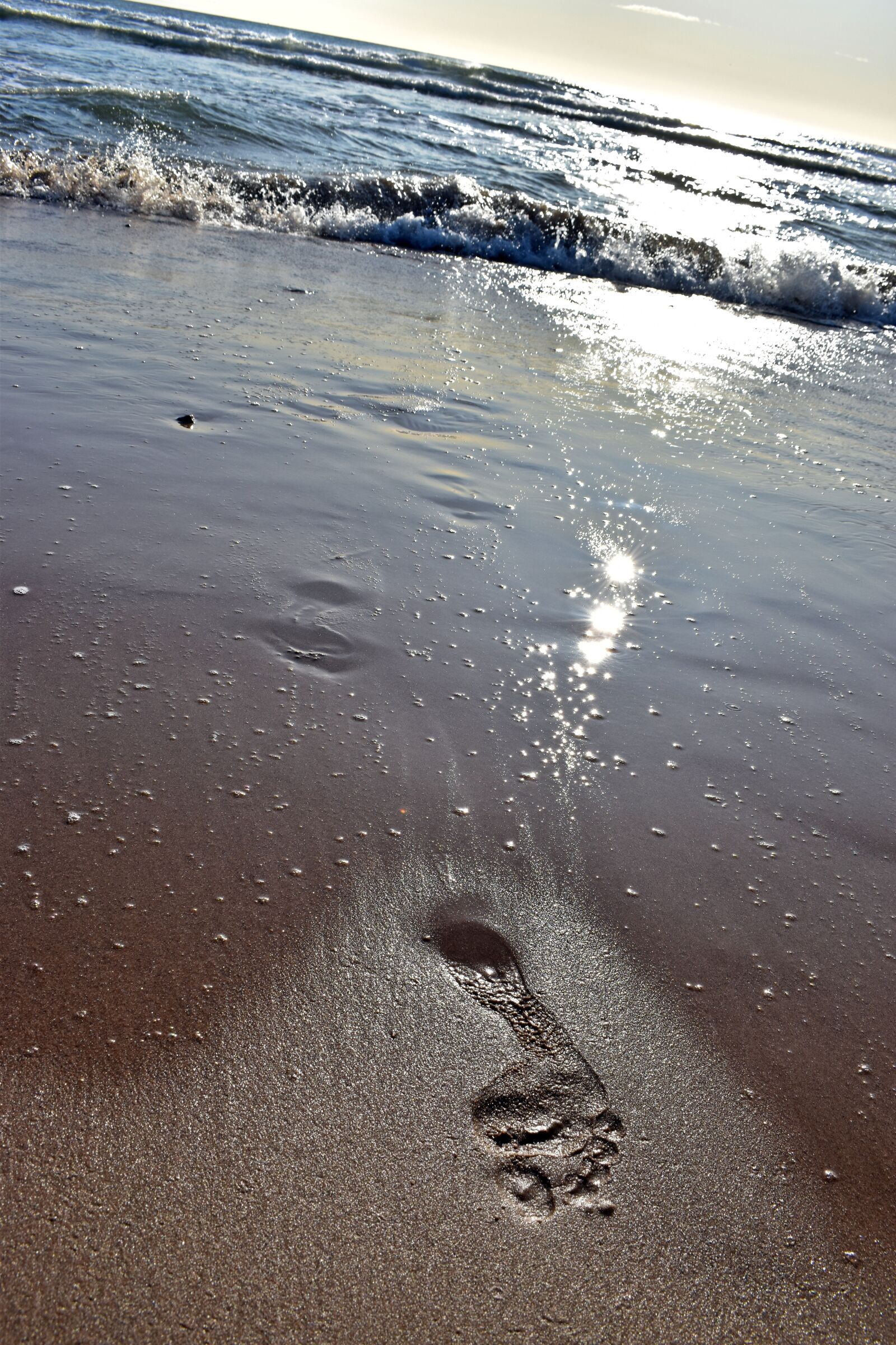 Nikon D5600 sample photo. Beach boulevard, aberdeen, scotland photography