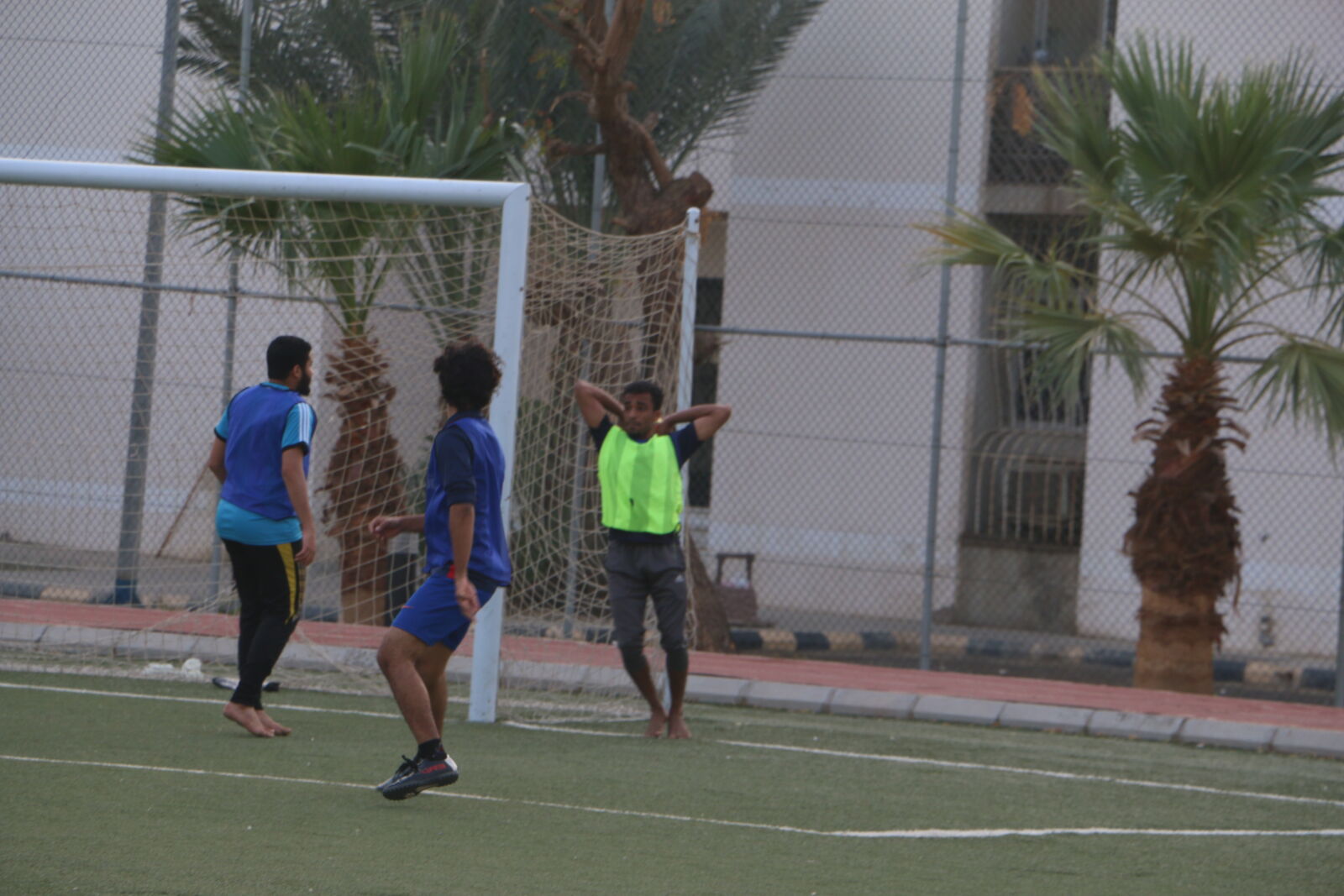 Canon EOS 70D sample photo