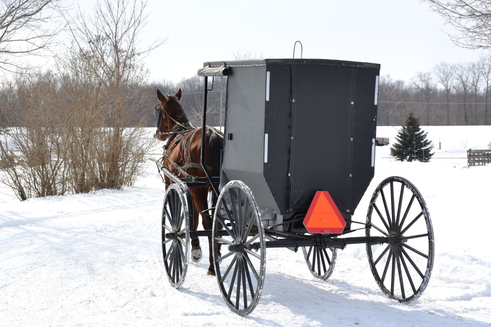 Nikon D3100 sample photo. Horse, car, mennonite photography