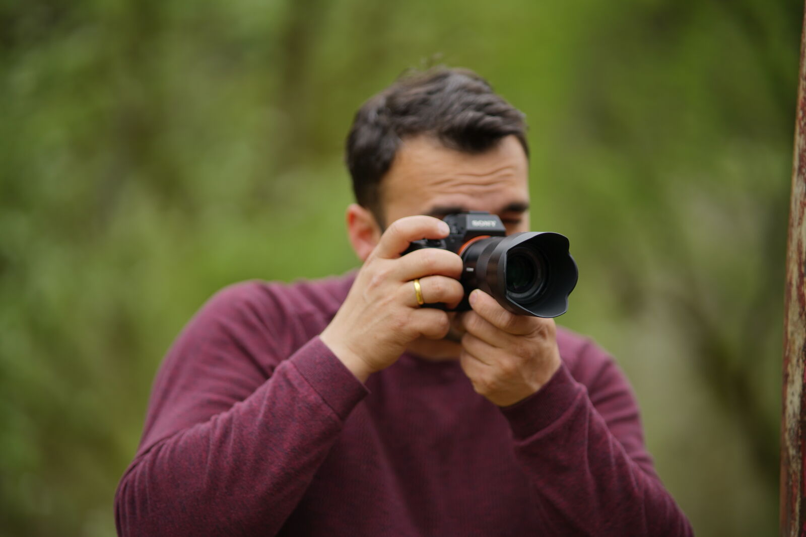 Samyang AF 85mm F1.4 FE sample photo