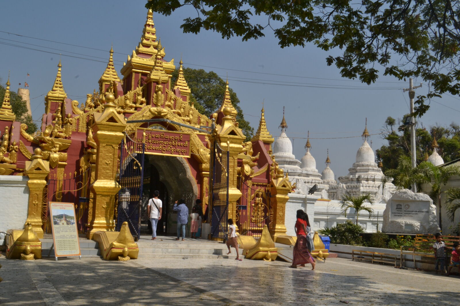 Nikon D3100 sample photo