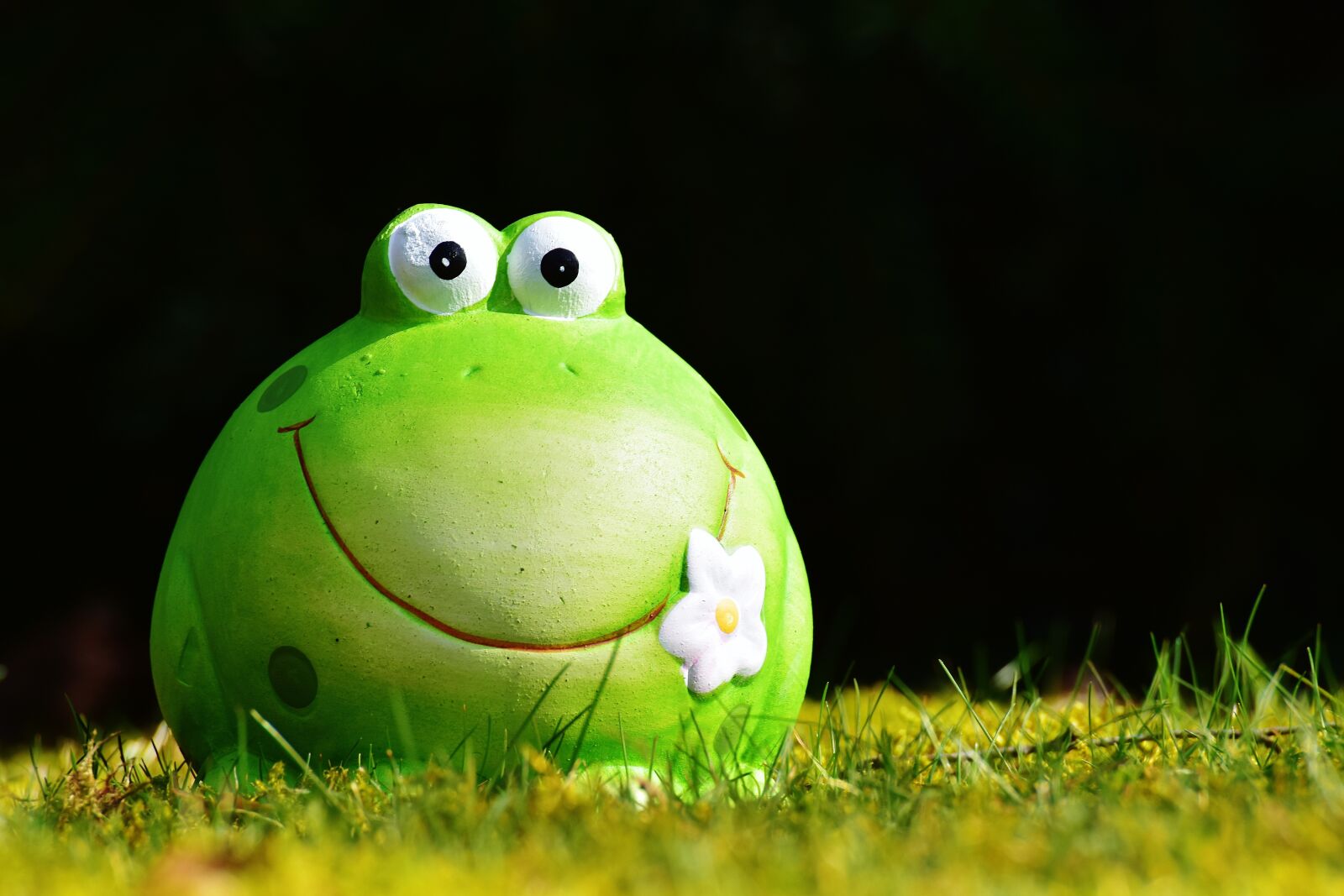 Nikon D7200 sample photo. Frog, figure, meadow photography