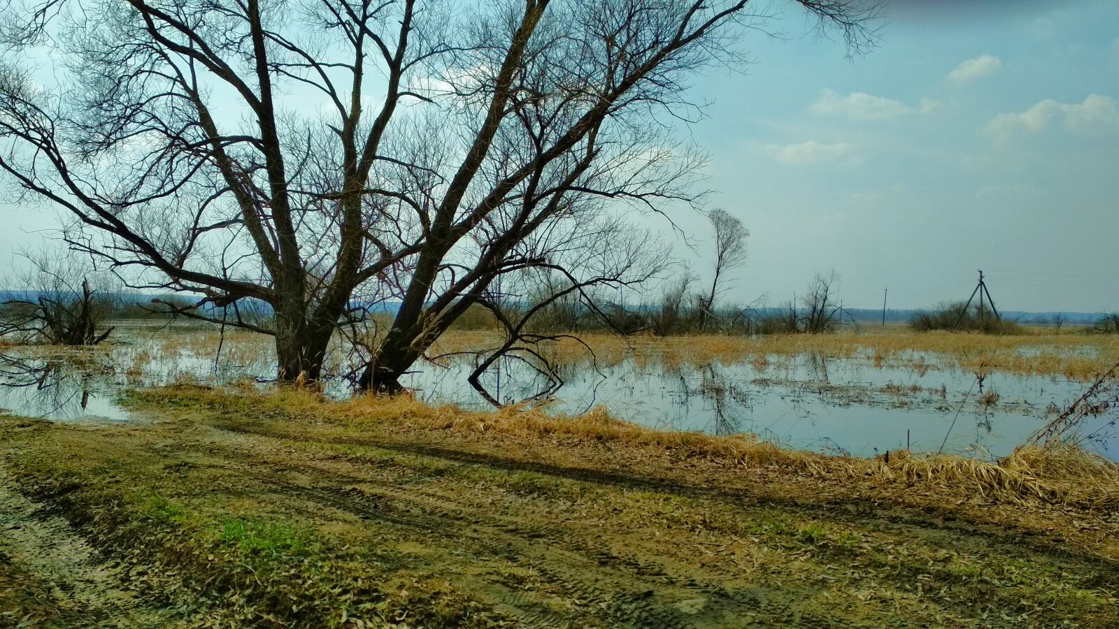 Xiaomi Redmi 4X sample photo. Landscape, spring, nature photography