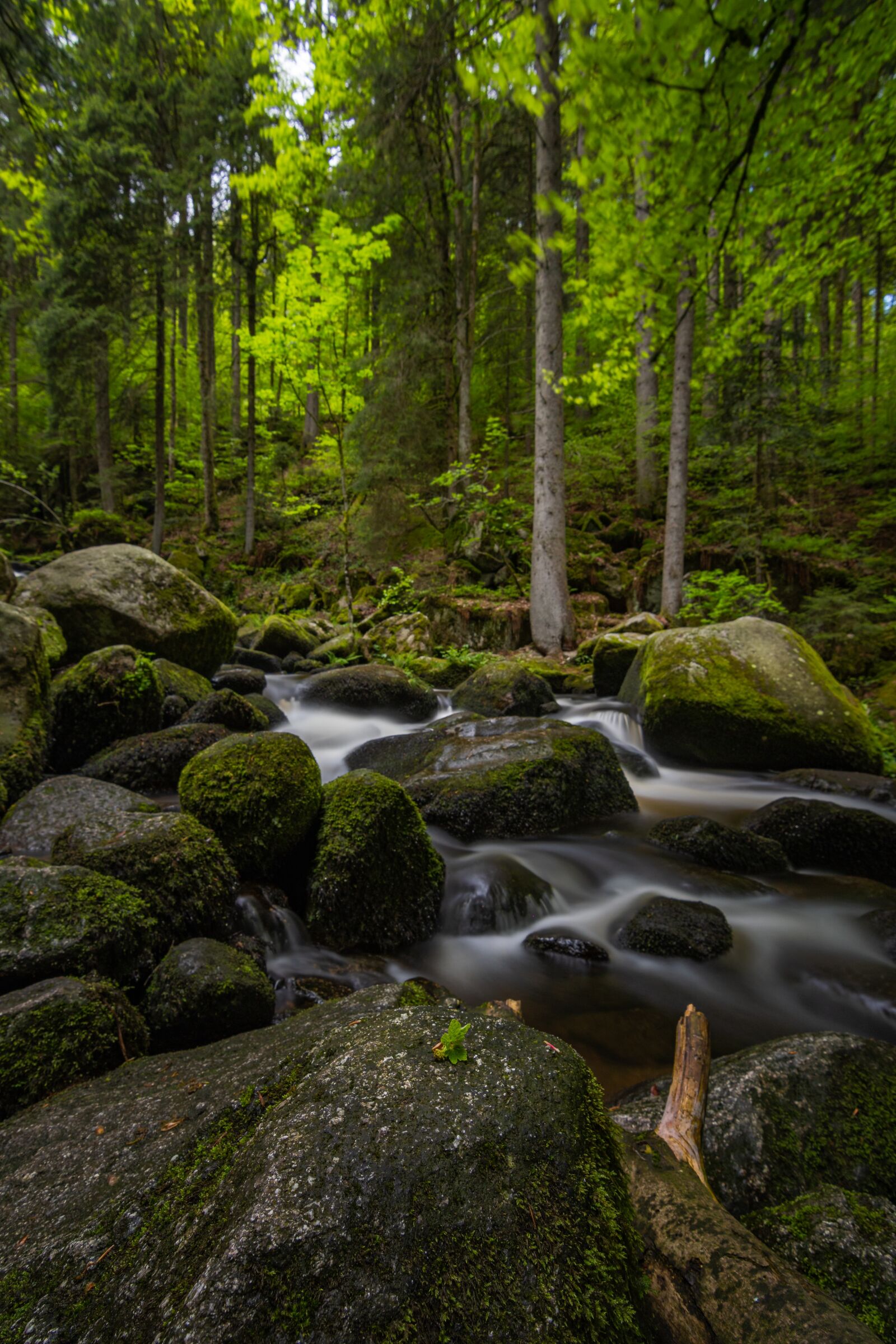 Nikon D7500 sample photo. Triberg, black forest, waterfall photography