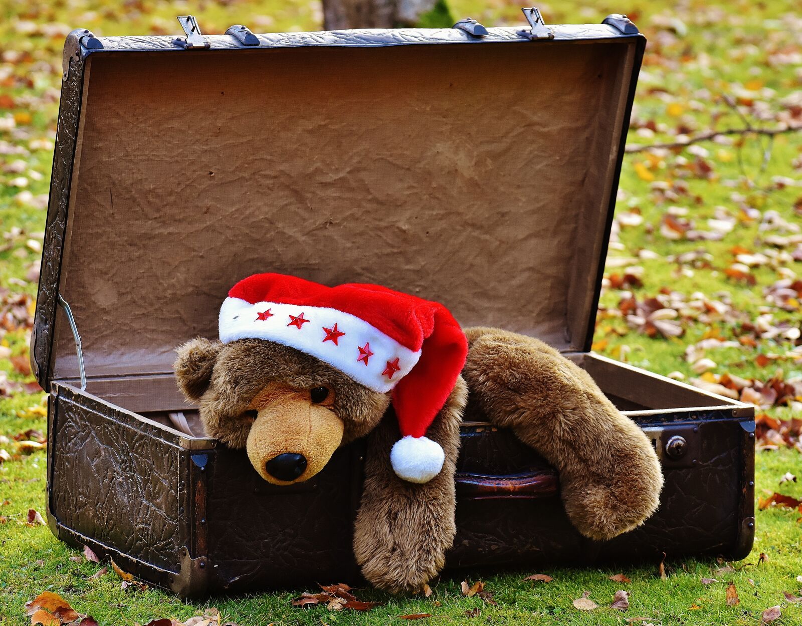 Nikon D7200 sample photo. Christmas, luggage, antique photography