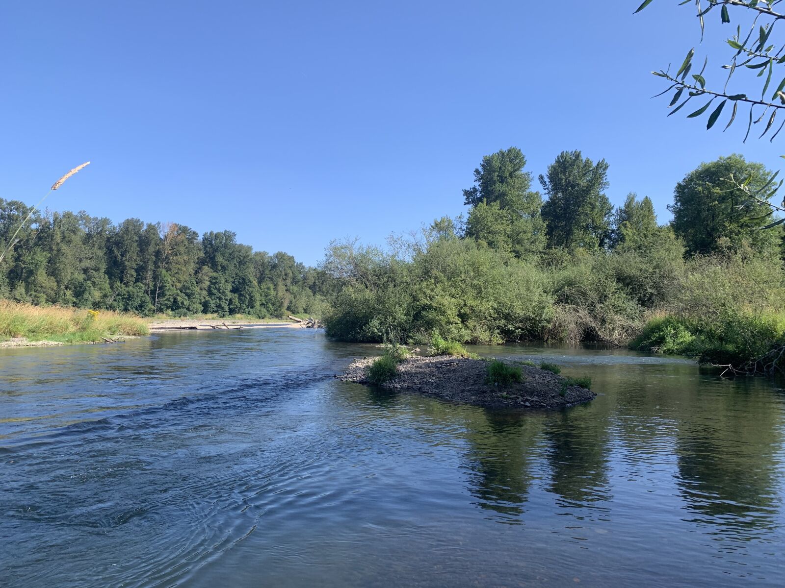 iPhone XR back camera 4.25mm f/1.8 sample photo. River, oregon, nature photography