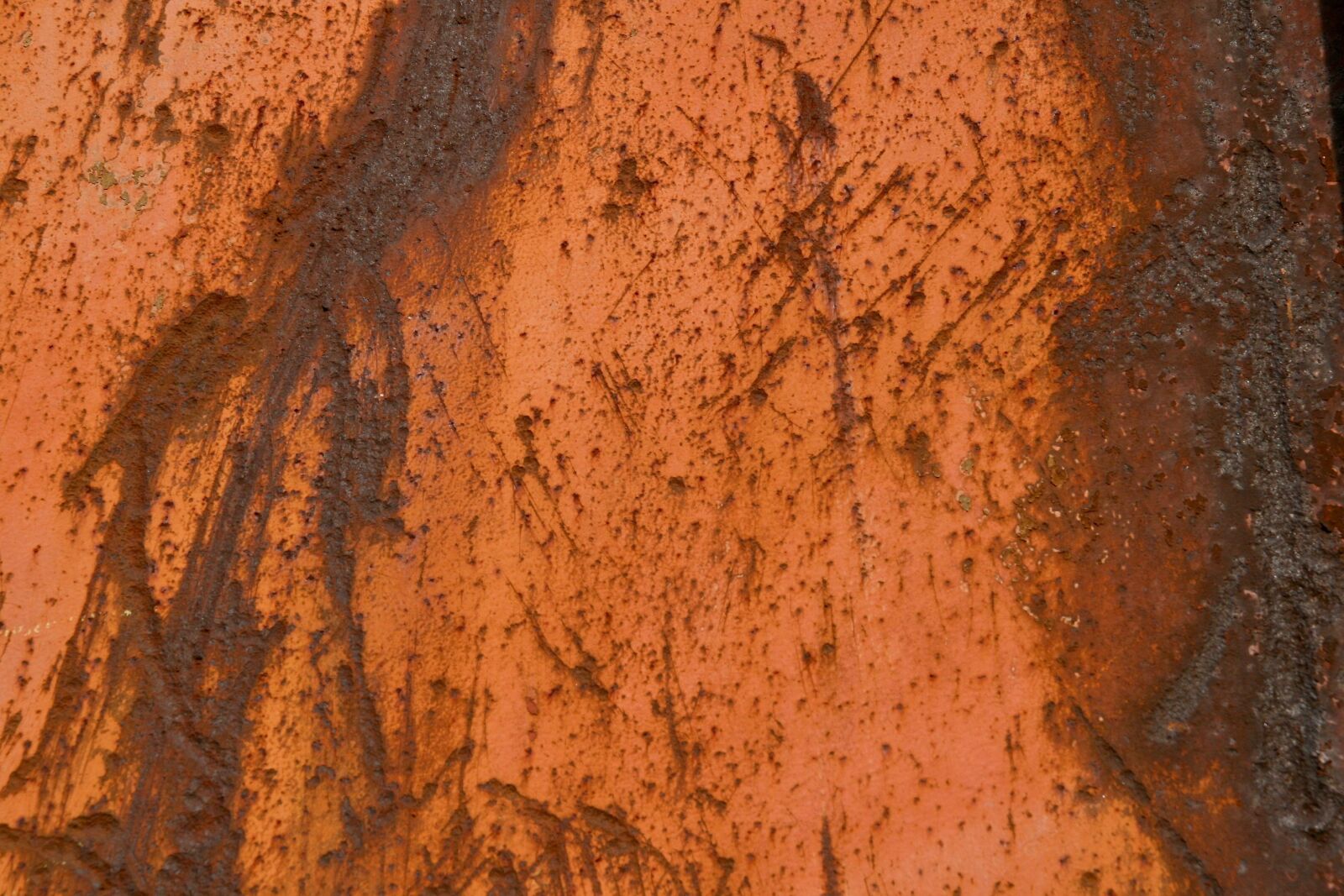 Canon EOS 400D (EOS Digital Rebel XTi / EOS Kiss Digital X) sample photo. Structure, texture, rust photography