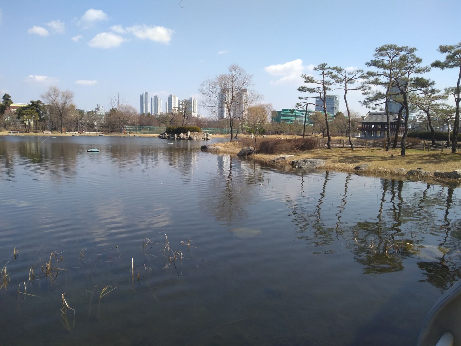 Motorola Moto G (5S) Plus sample photo. The national park, trees photography