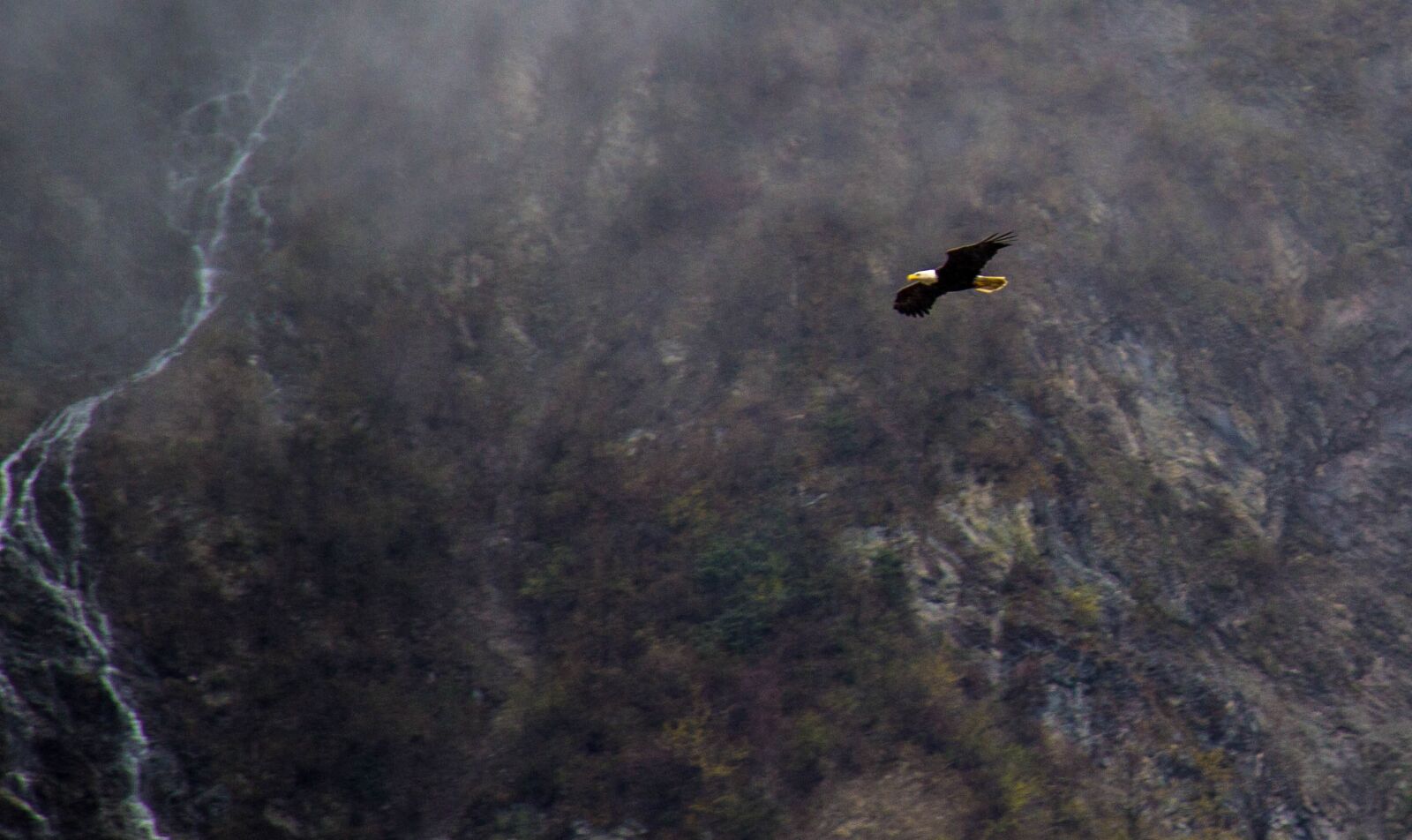 Canon EF-S 18-200mm F3.5-5.6 IS sample photo. Eagle in alaska, flying photography