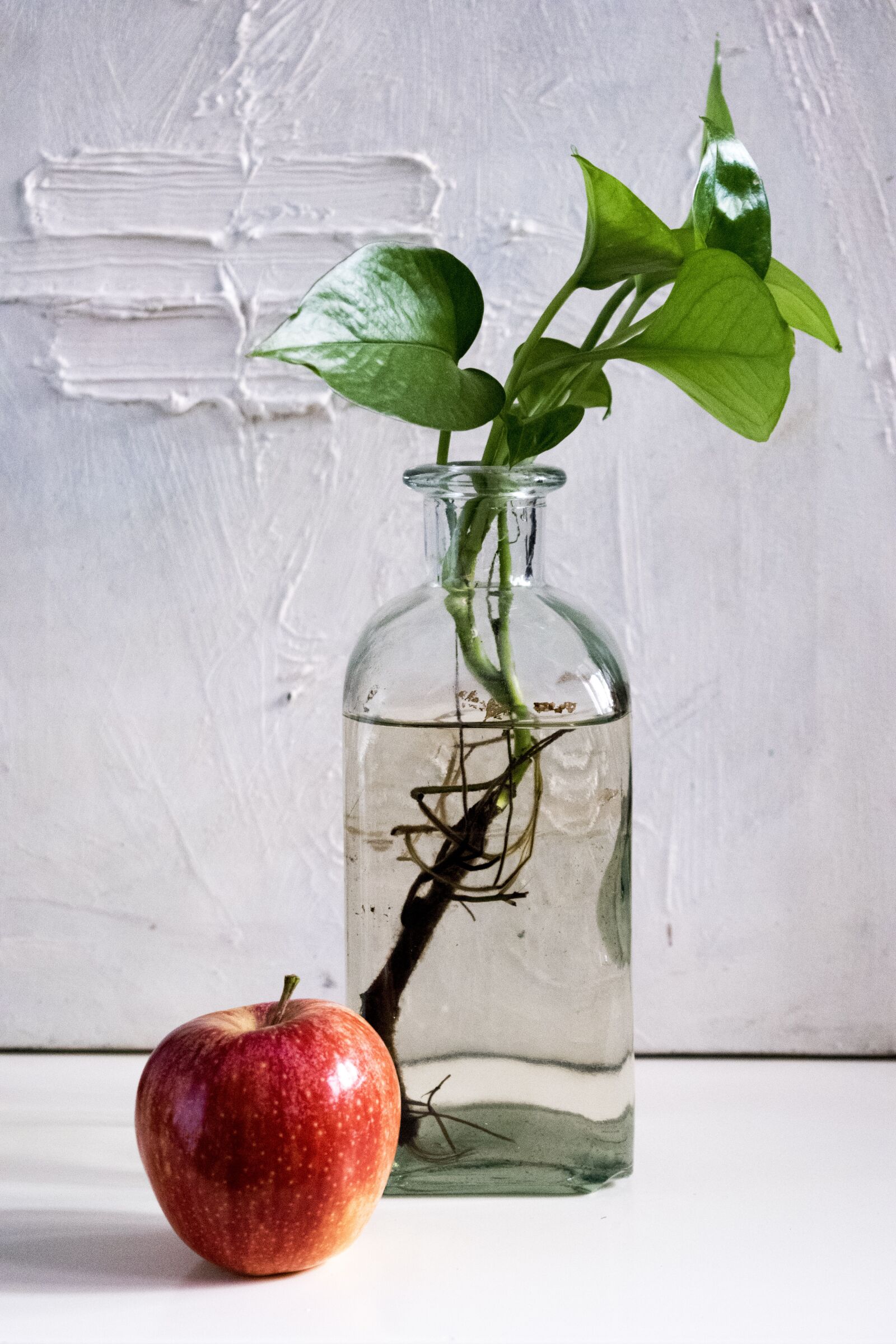 Nikon D5300 sample photo. Composition, apple, bottle photography